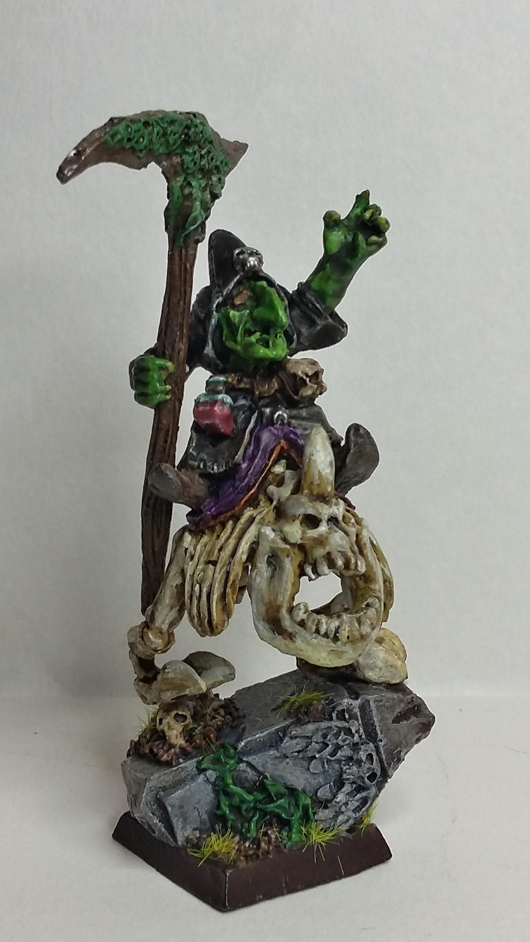 A necromancer shaman (from Titan Forge)