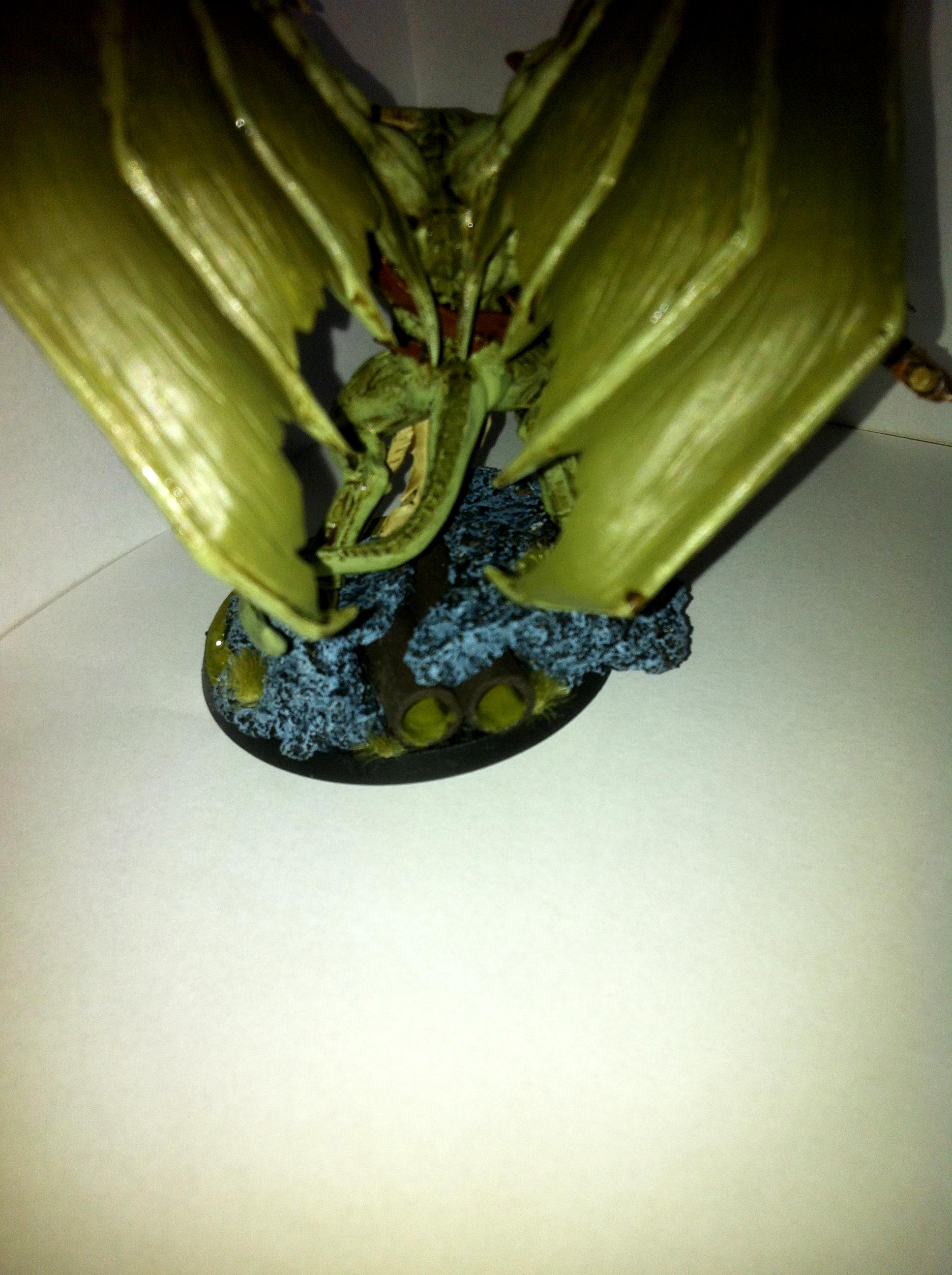 Nurgle DP Back