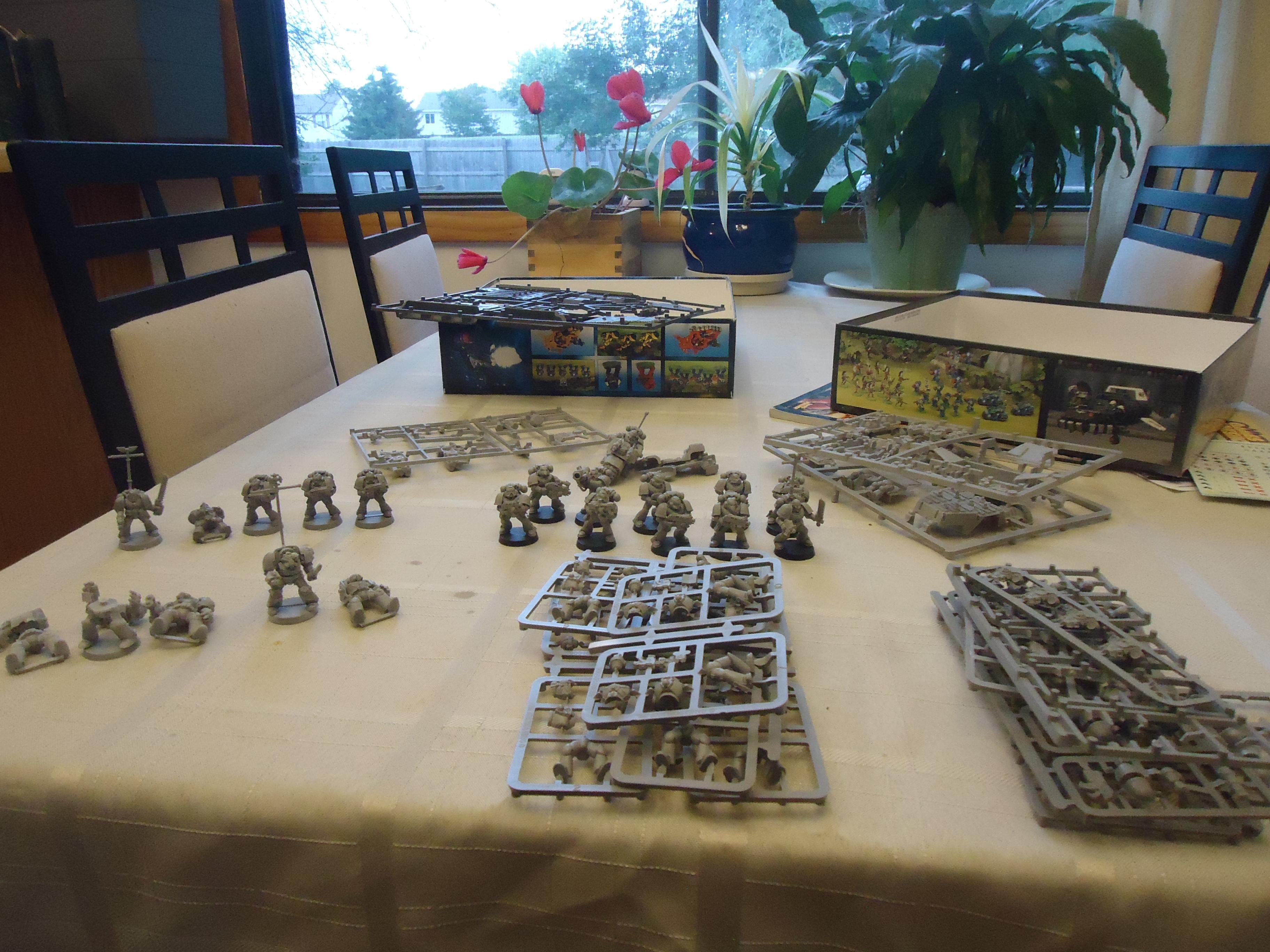 Space Marines