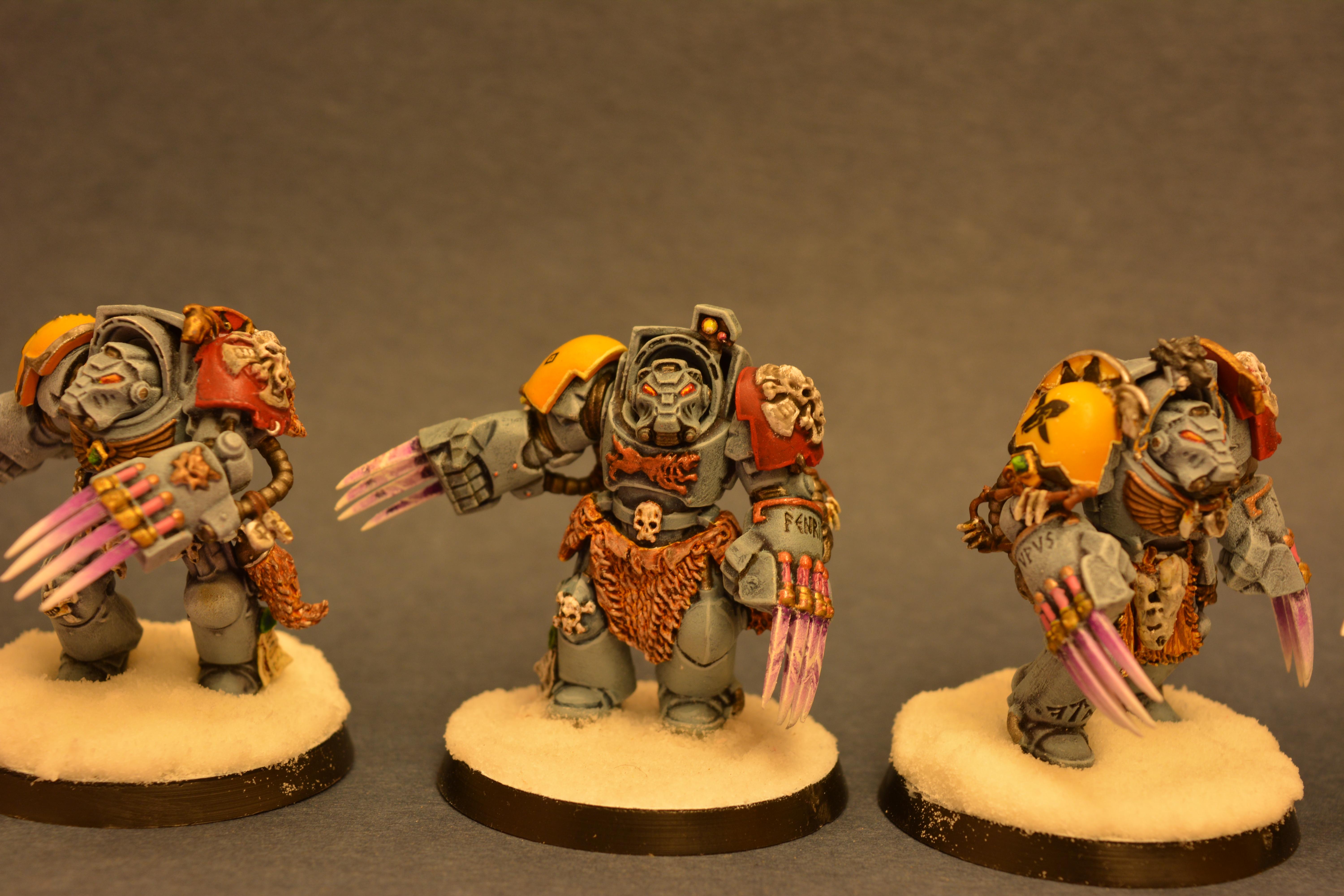 Adeptus Astartes, Space Marines, Space Wolves, Terminator Armor, Warhammer 40,000