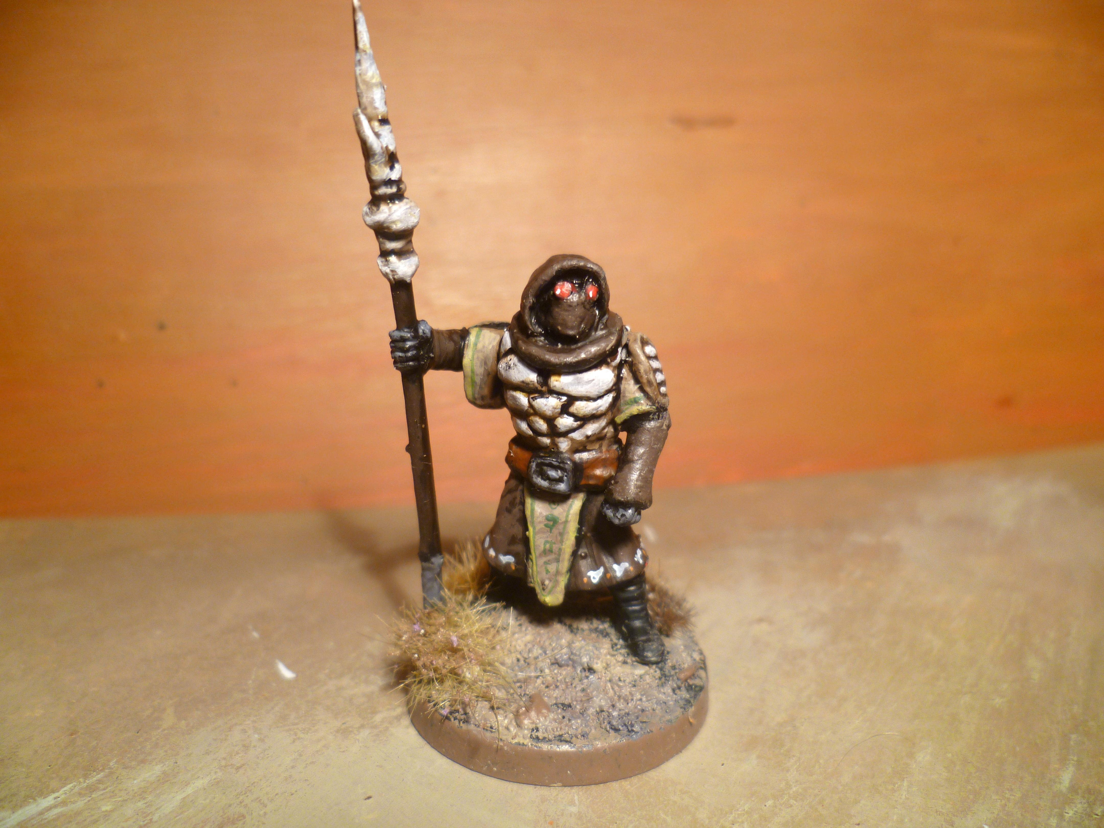 Dunmer Bandit