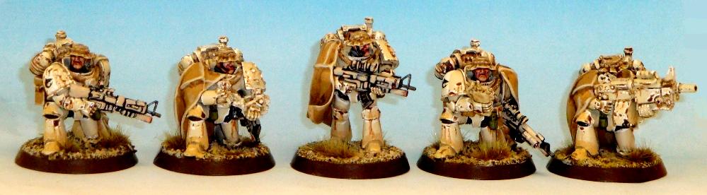 Carcharodons, Seal, Seals, Space Marines, Space Sharks