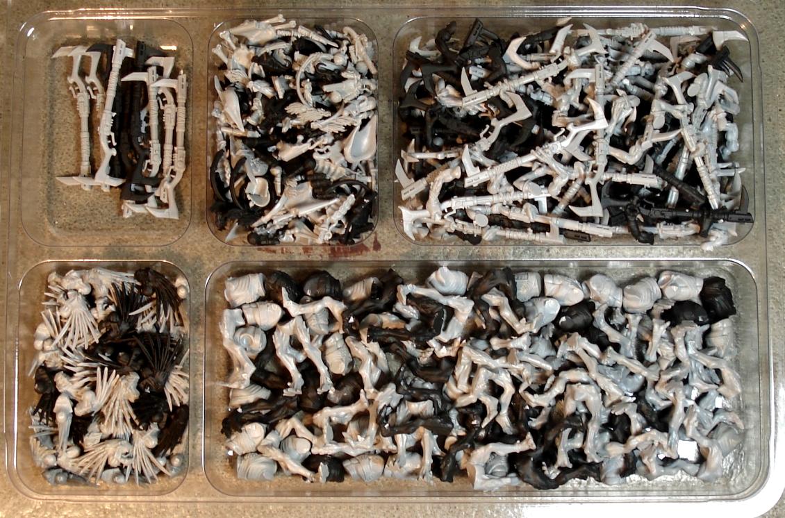 Kroot Bitz