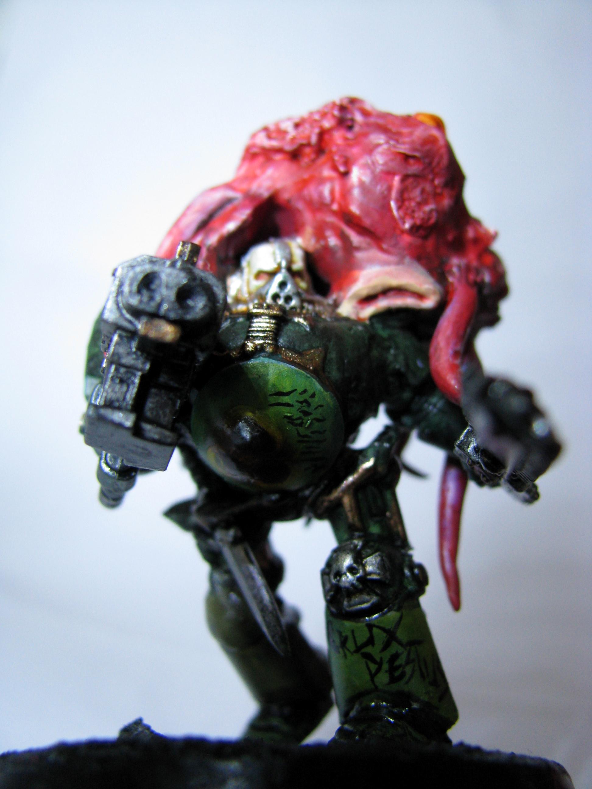 Chaos, Chaos Space Marines, Conversion, Nurgle, Terminator Armor