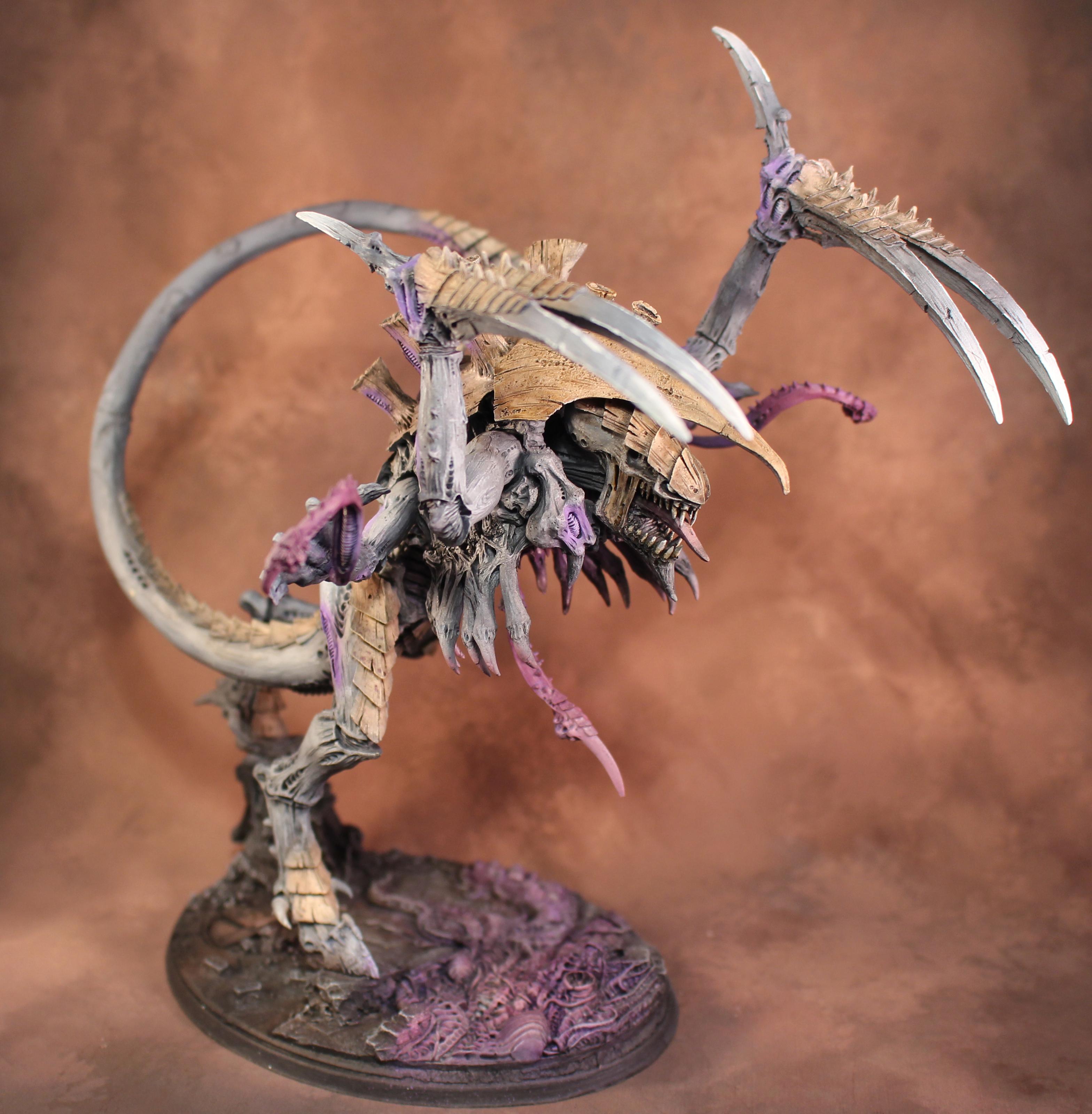 Dimachaeron