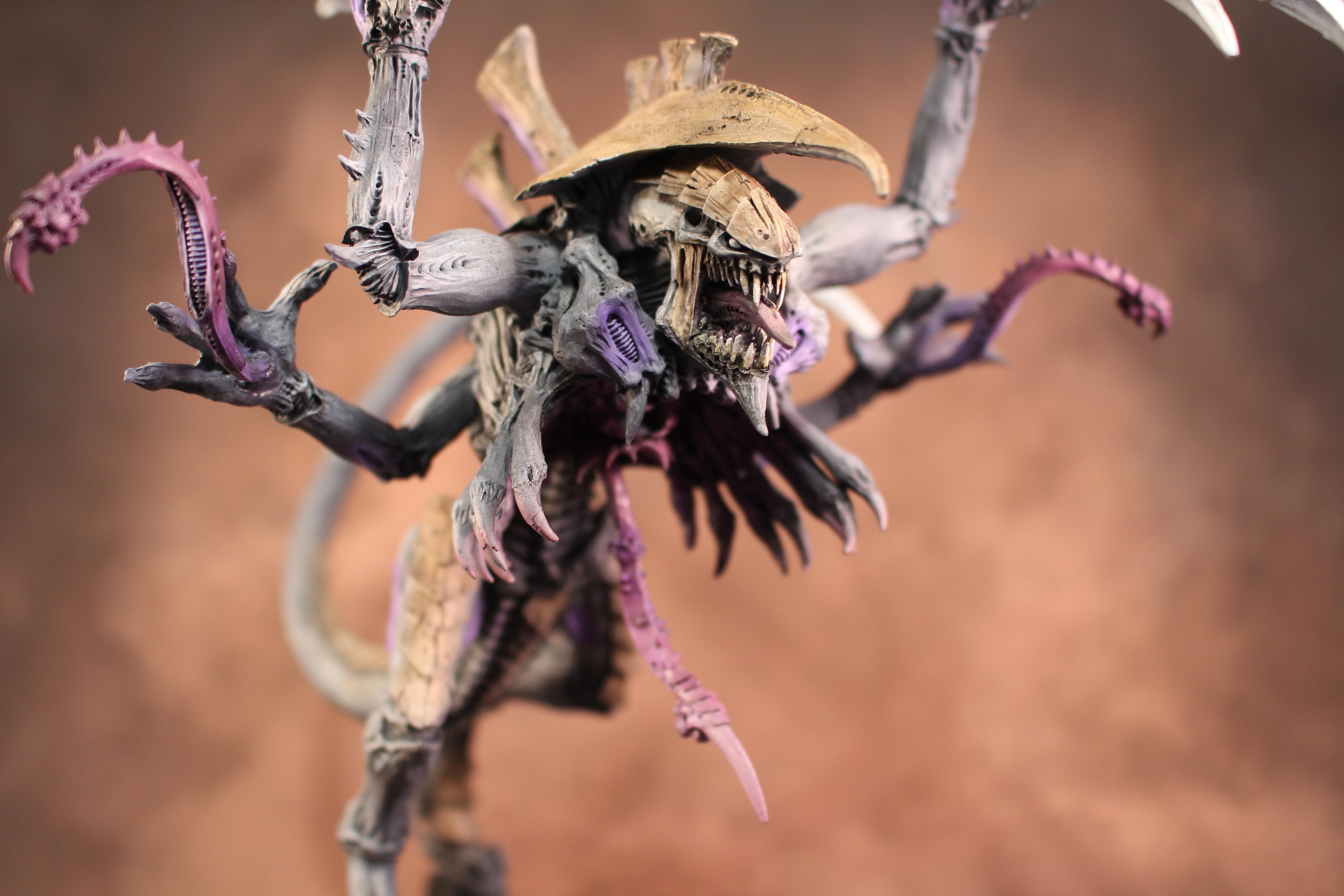 Dimachaeron
