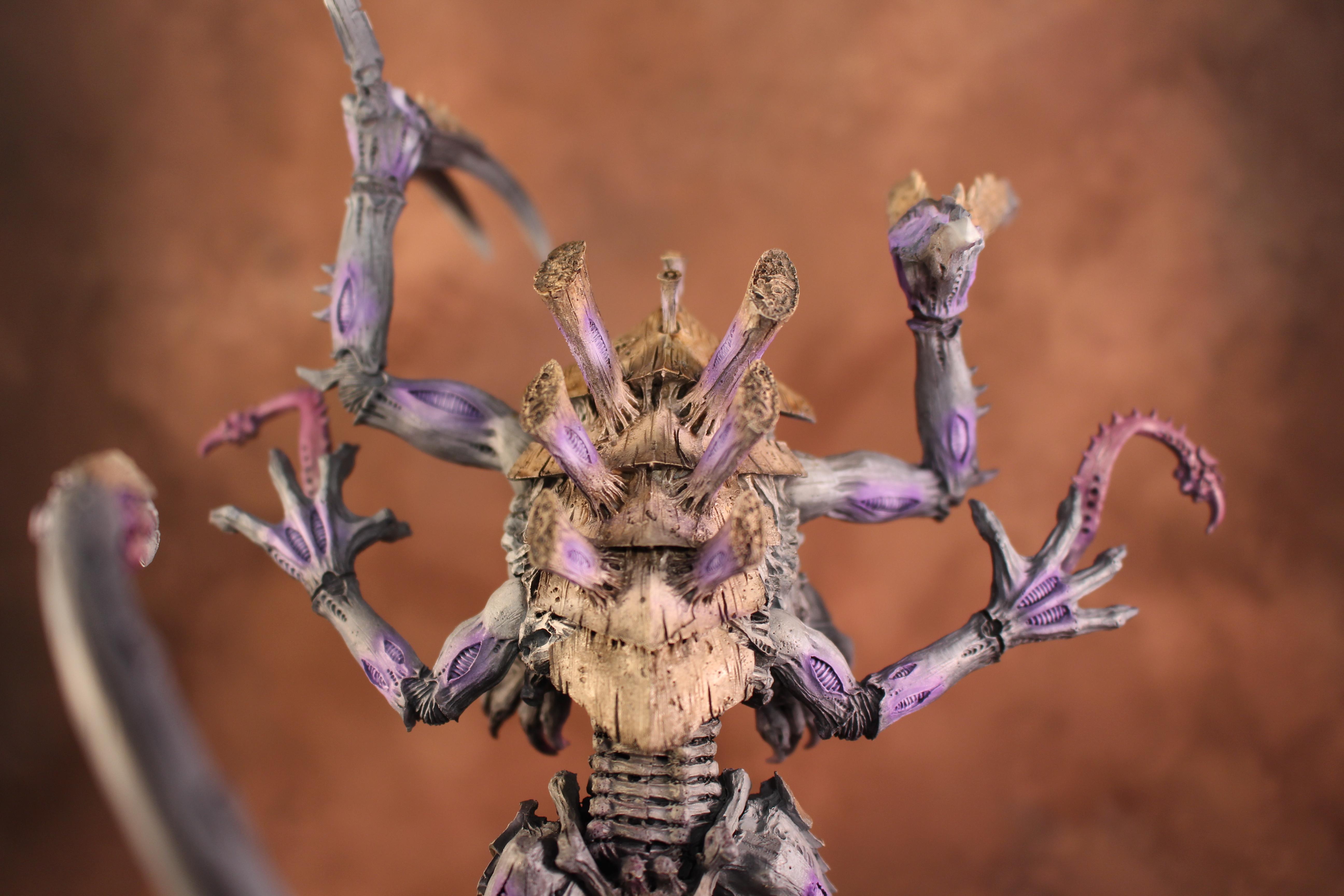 Dimachaeron