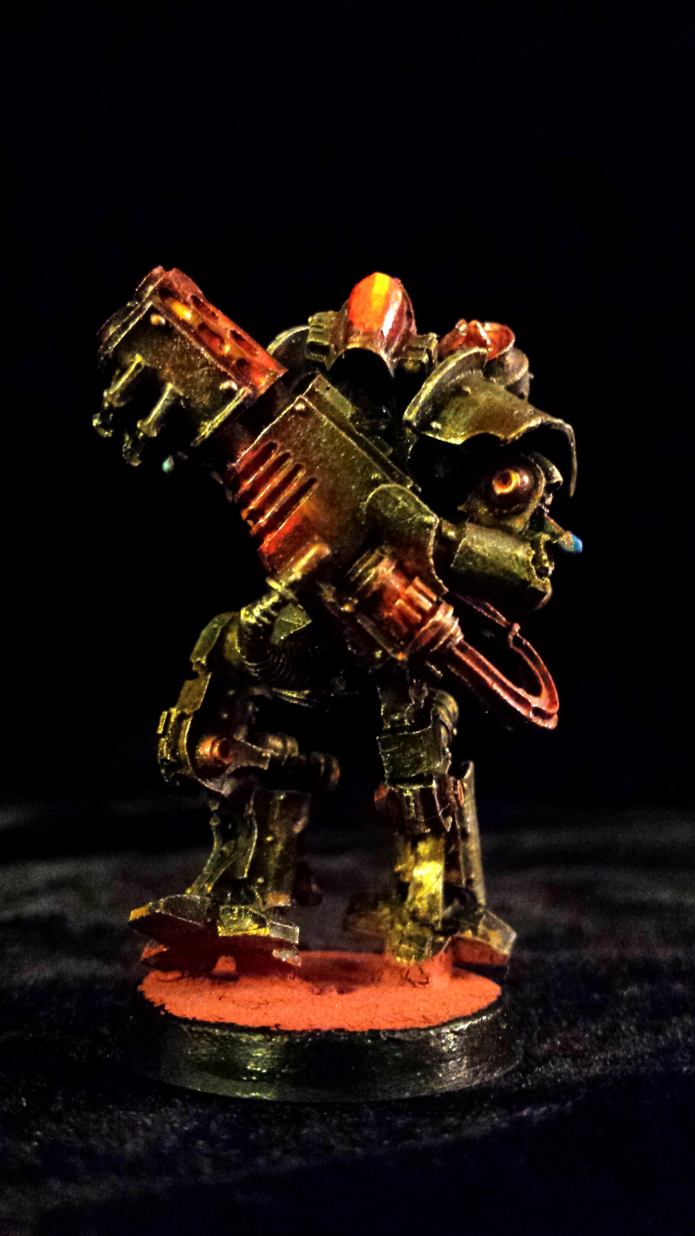 Thallax cohort