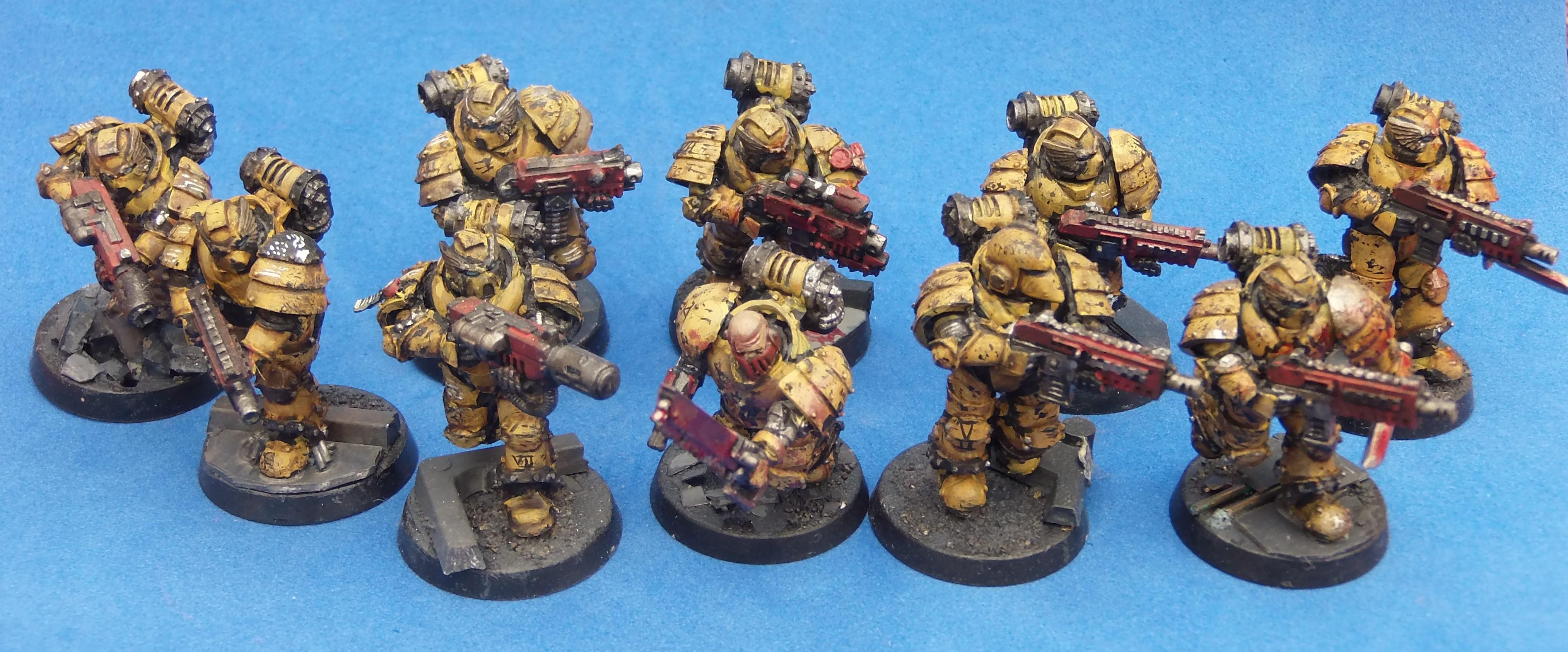 Imperial Fist Sternguard