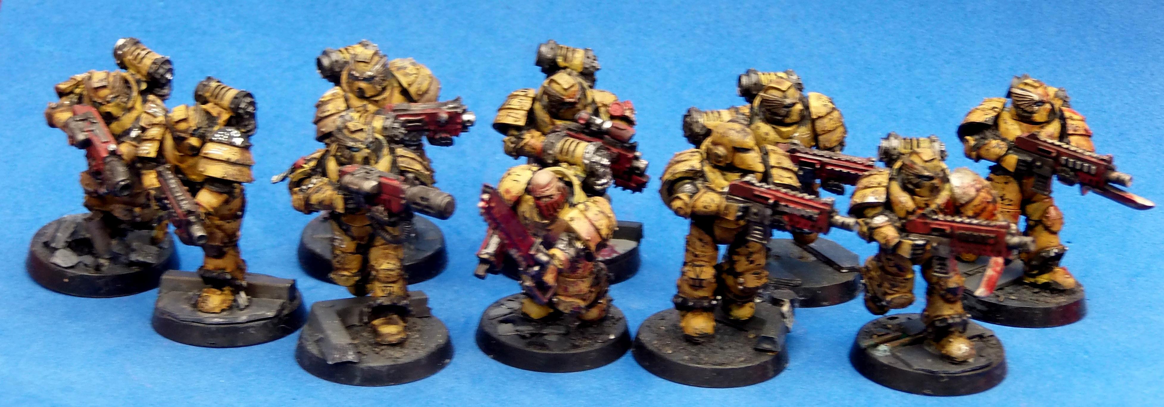 Imperial Fist Sternguard