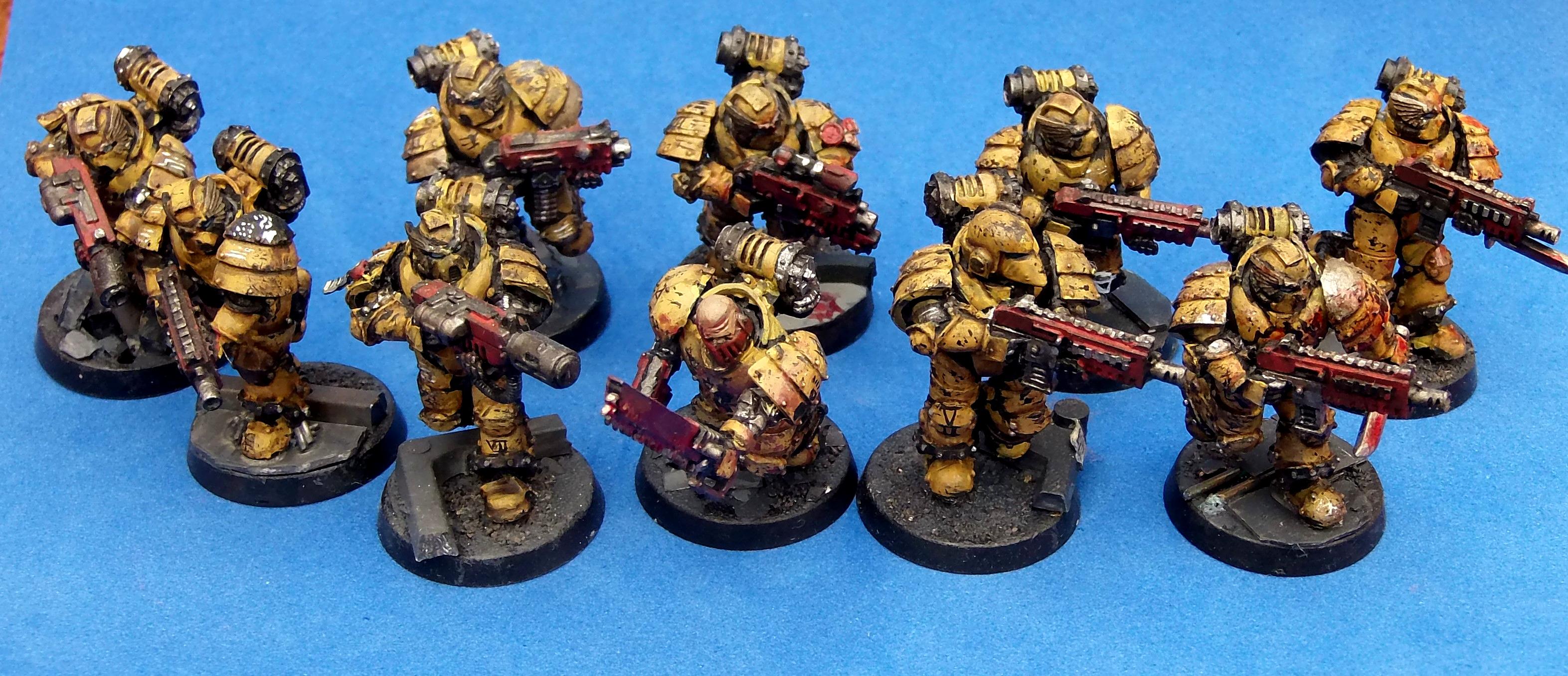 Imperial Fist Sternguard