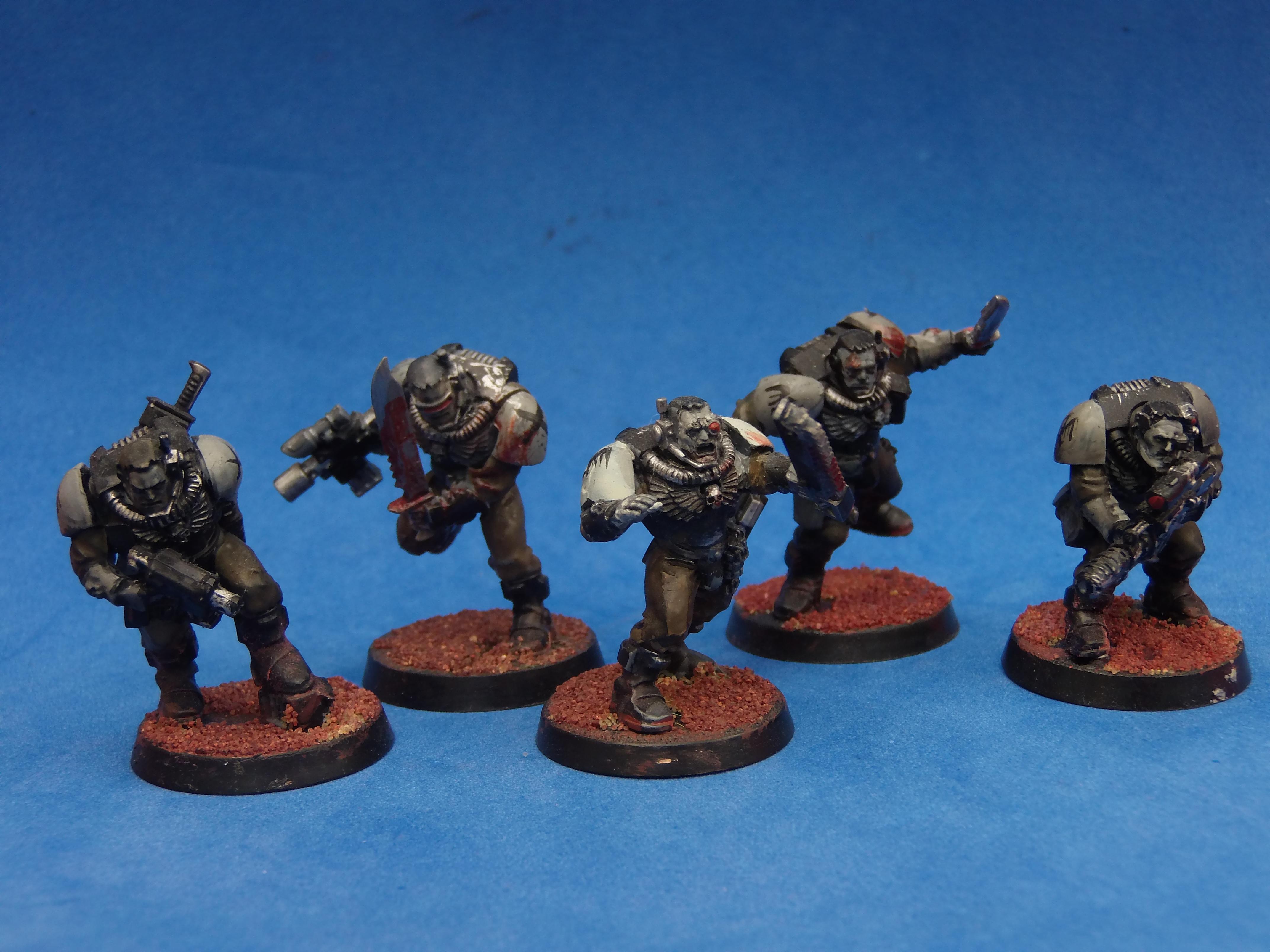 Raven Guard Scouts