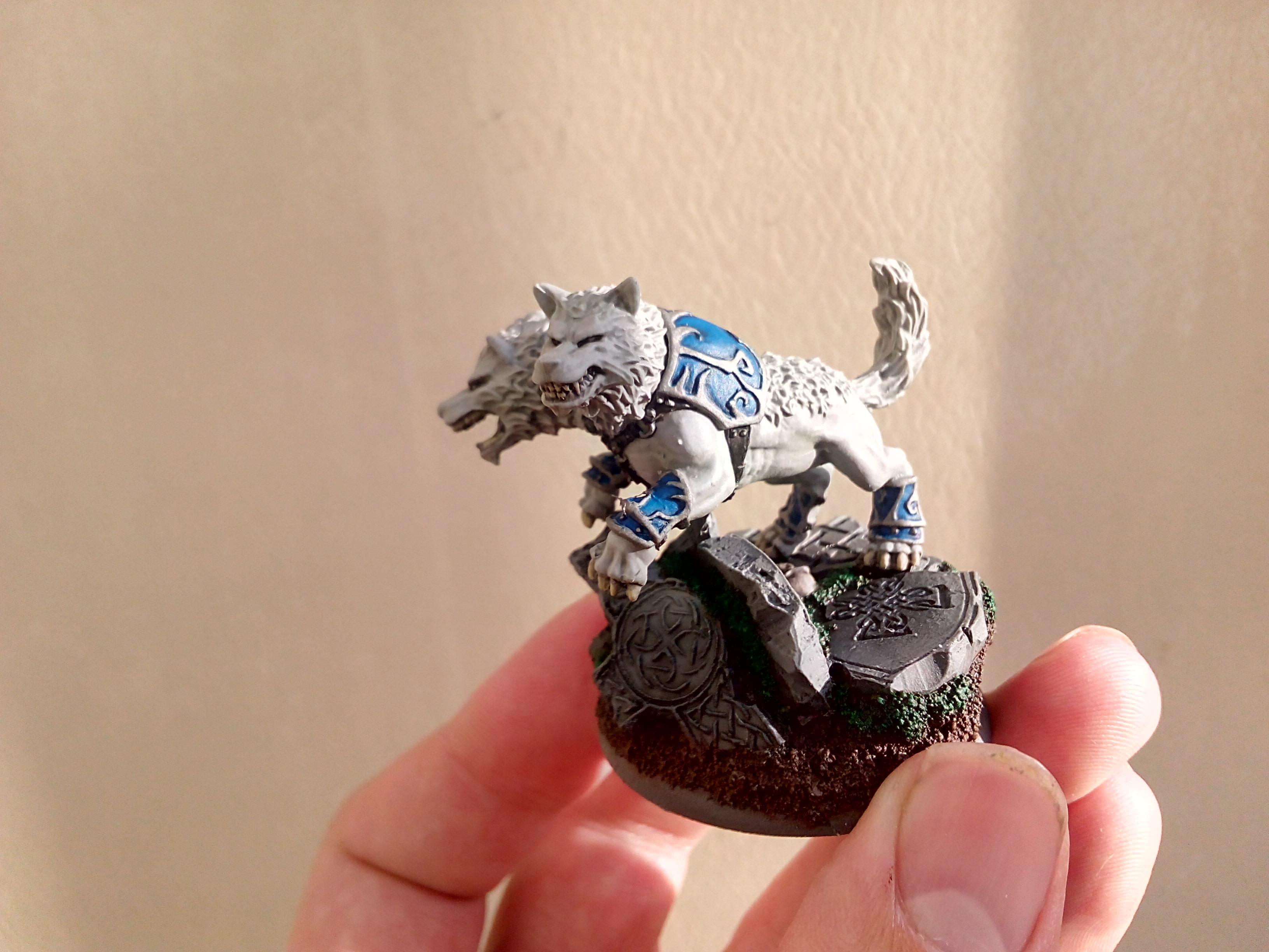 Winter Argus wip