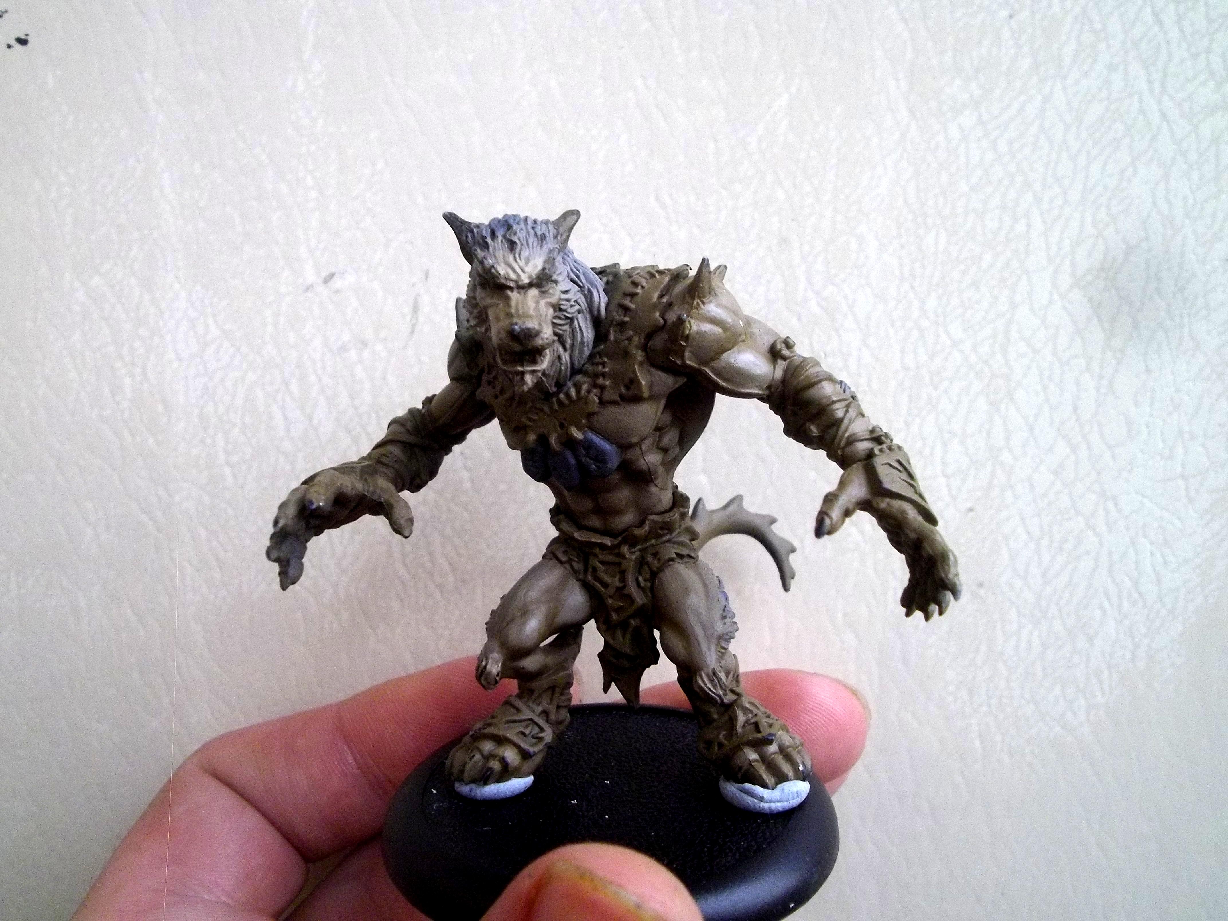 Circle, Circle Of Orboros, Feral Warpwolf, Hordes, Warpwolf