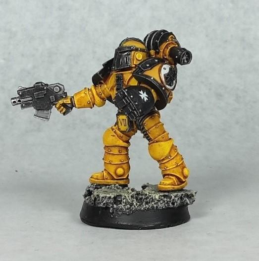 Imperial Fists Veteran