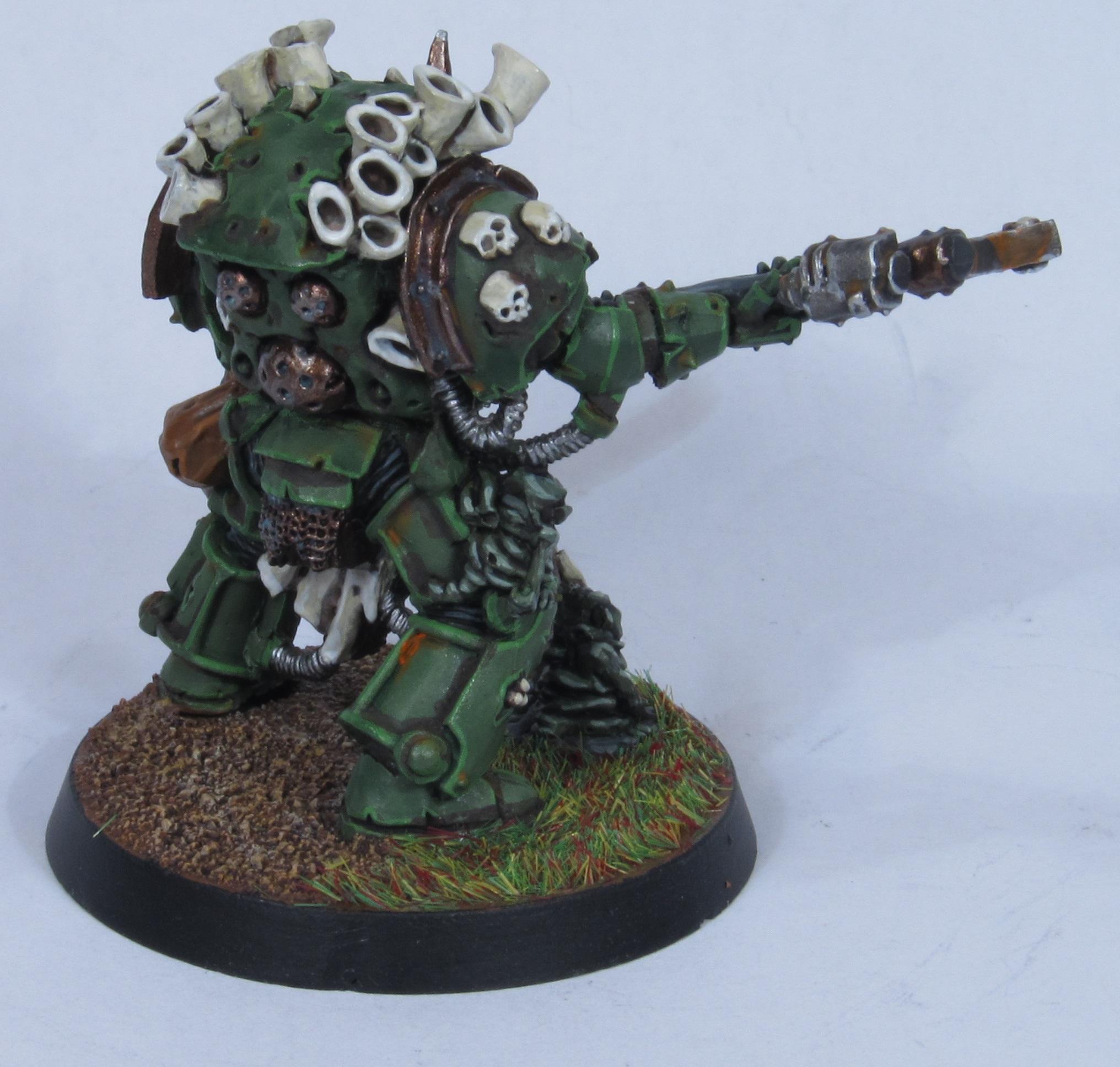 Typhus Right