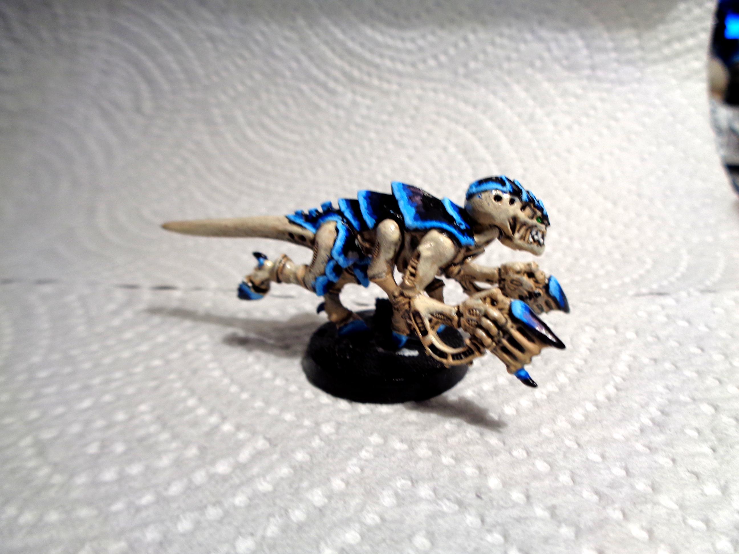 Tyranids
