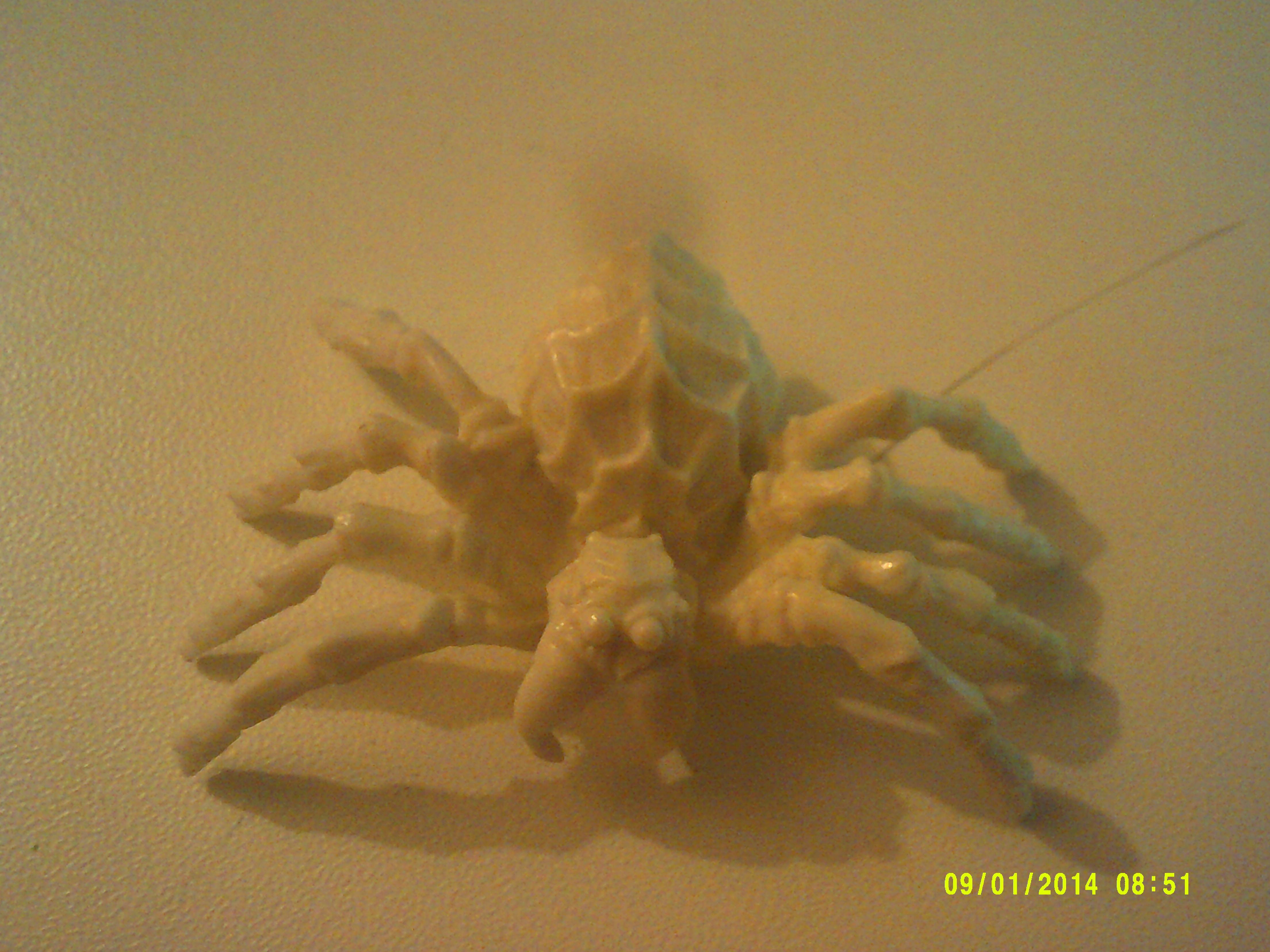Bones, Spider, Spider 1
