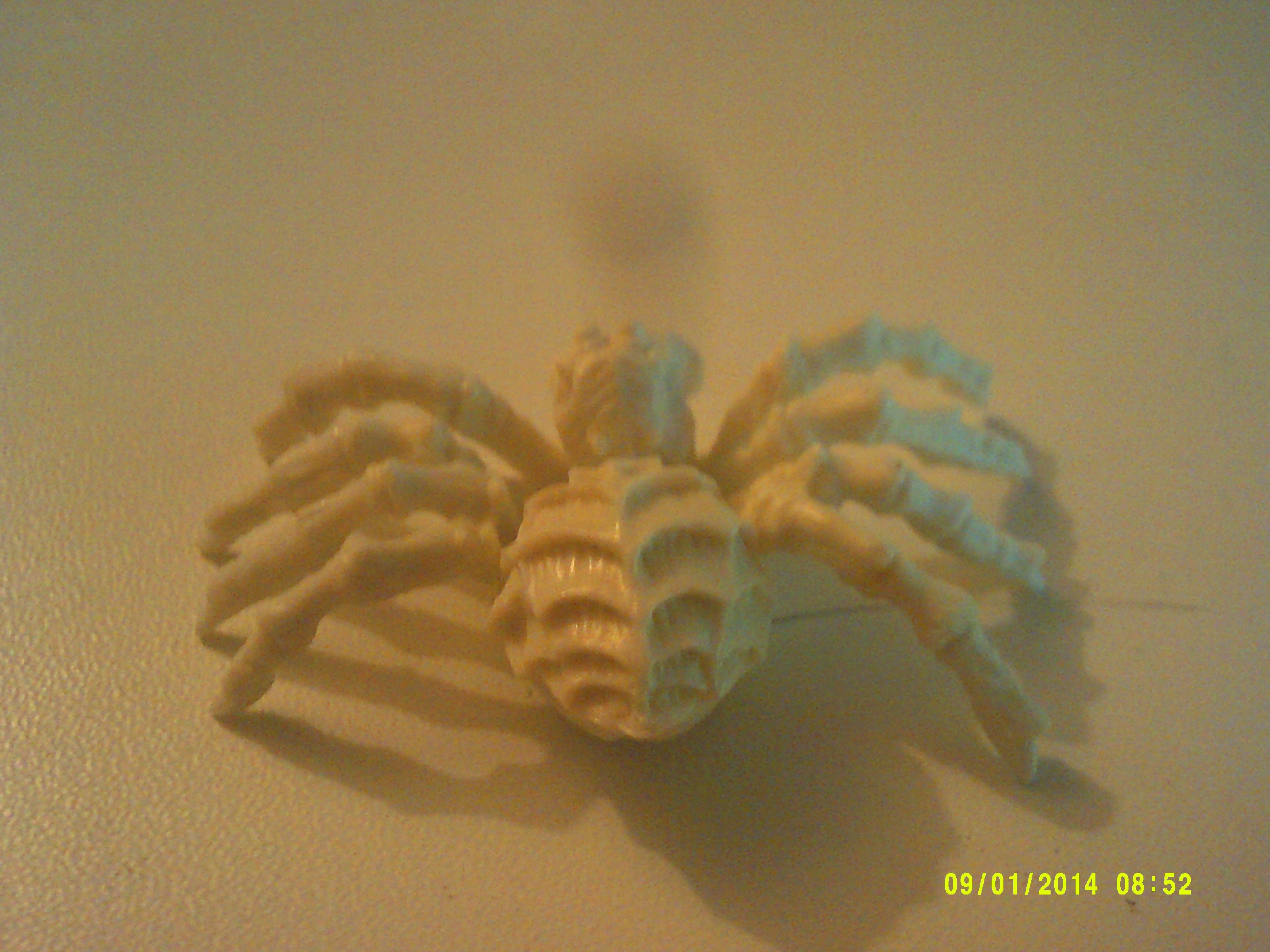 Bones, Spider, Spider 3