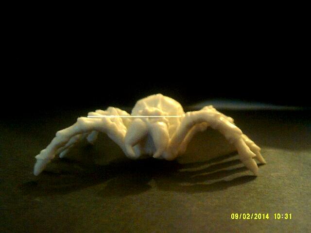 Spider on a black surface 2