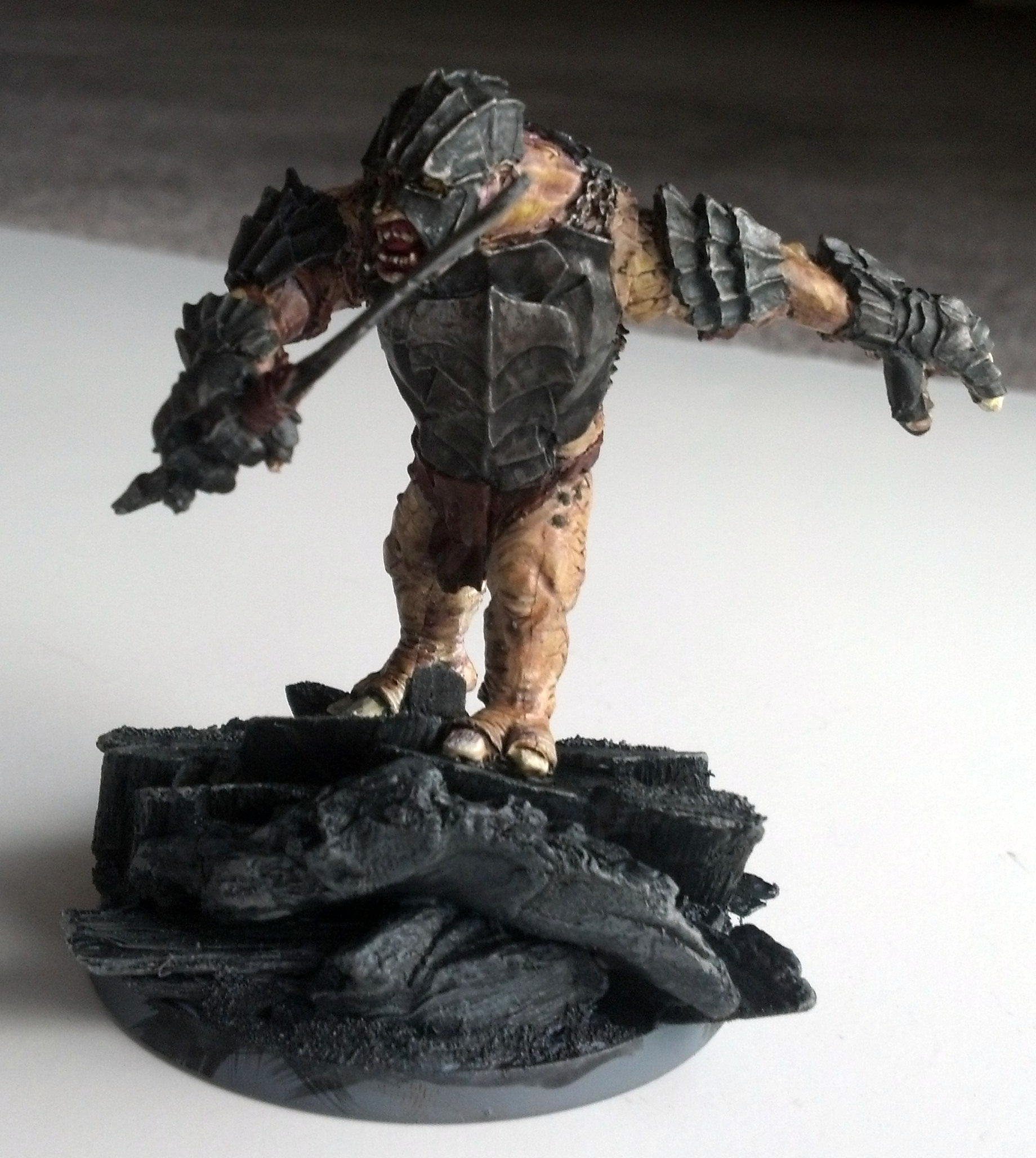 Half-troll, Lord Of The Rings