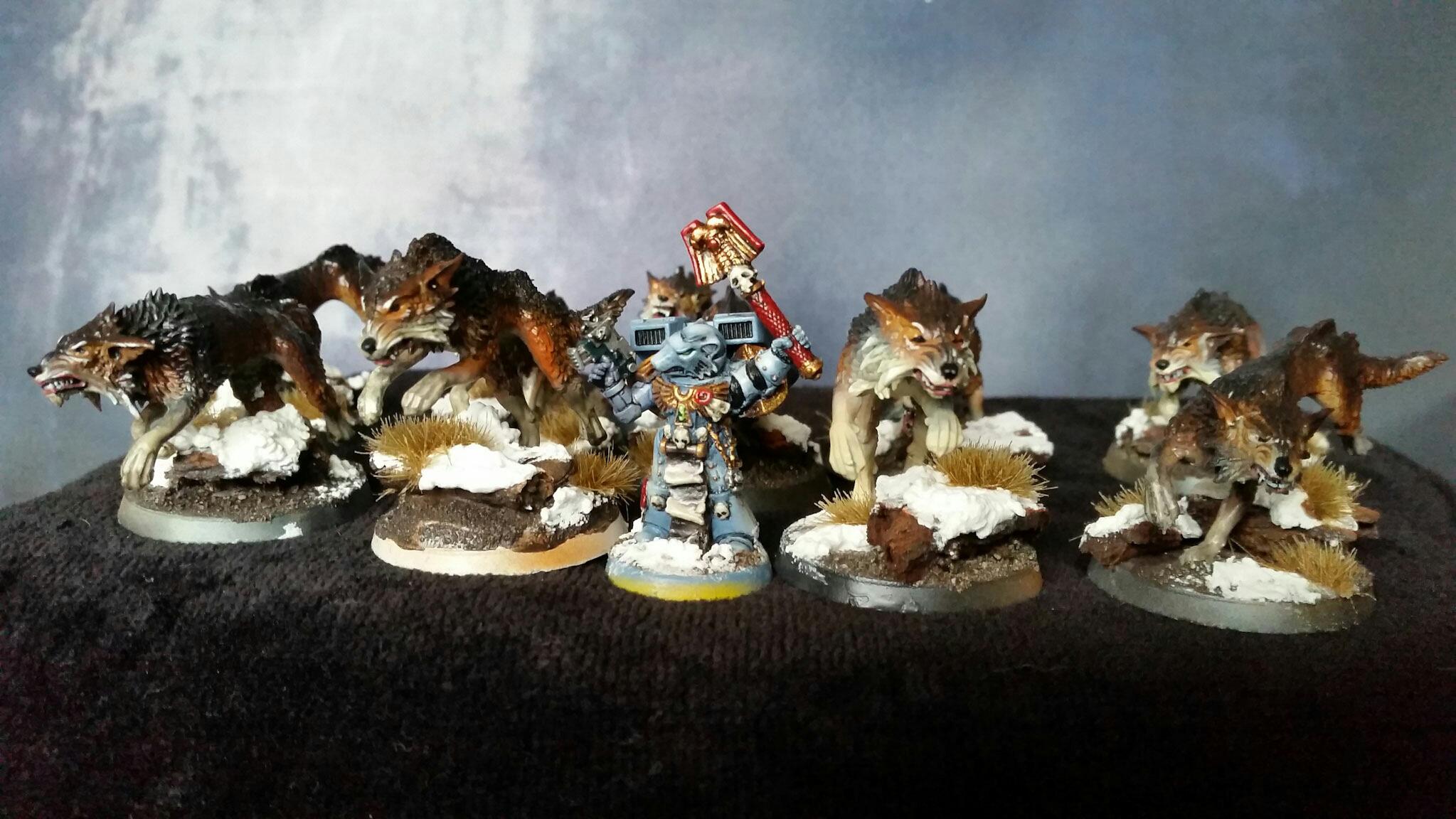 Bjorn, Blood, Cavalry, Claw, Dreadnought, Drop, Gray, Hunter, Hunters, Pod, Space, Thunder, Thunderwolf, Wolf, Wolves
