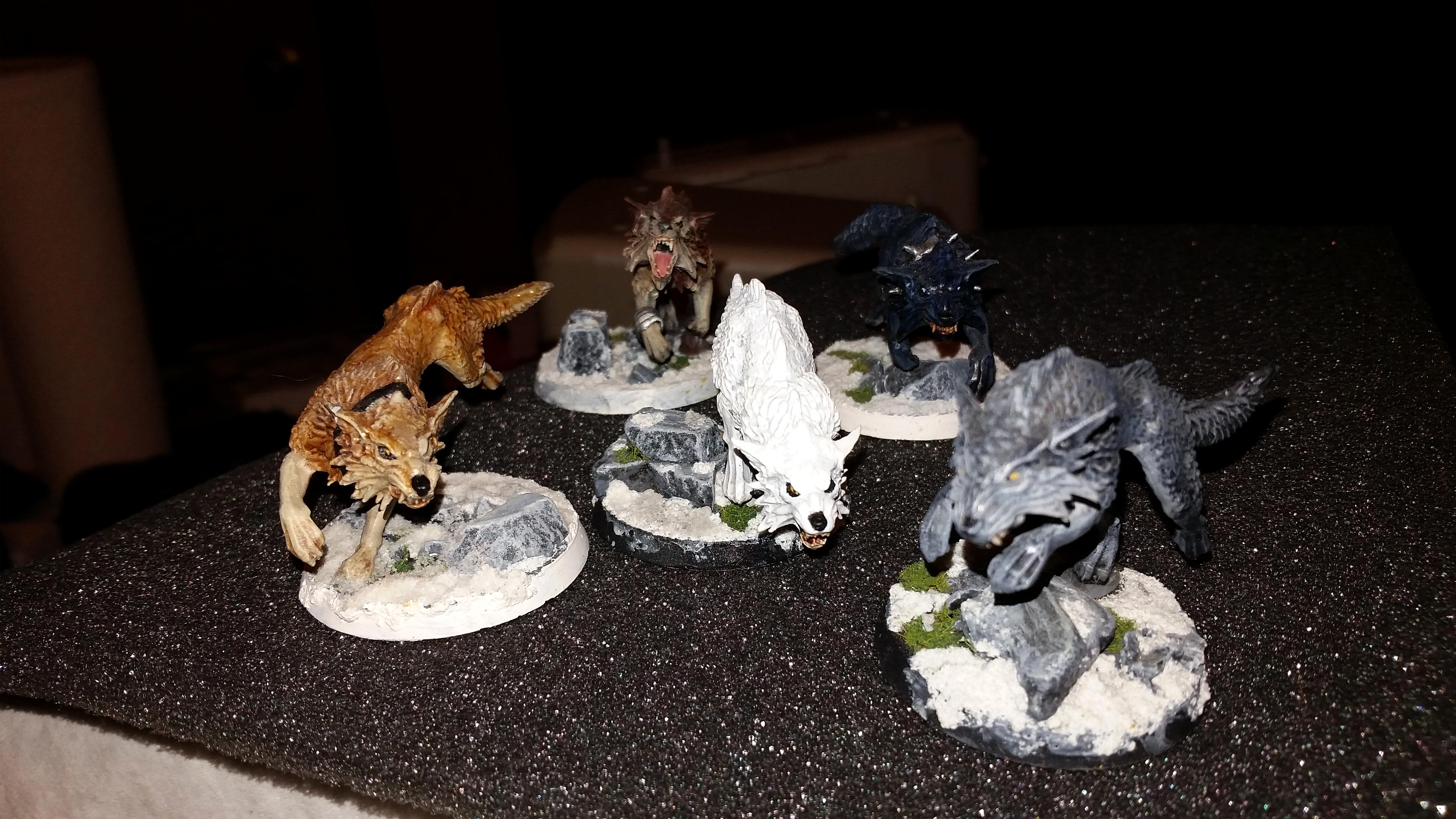 Anime, Fenrisian Wolves, Space Wolves, Wolf's Rain