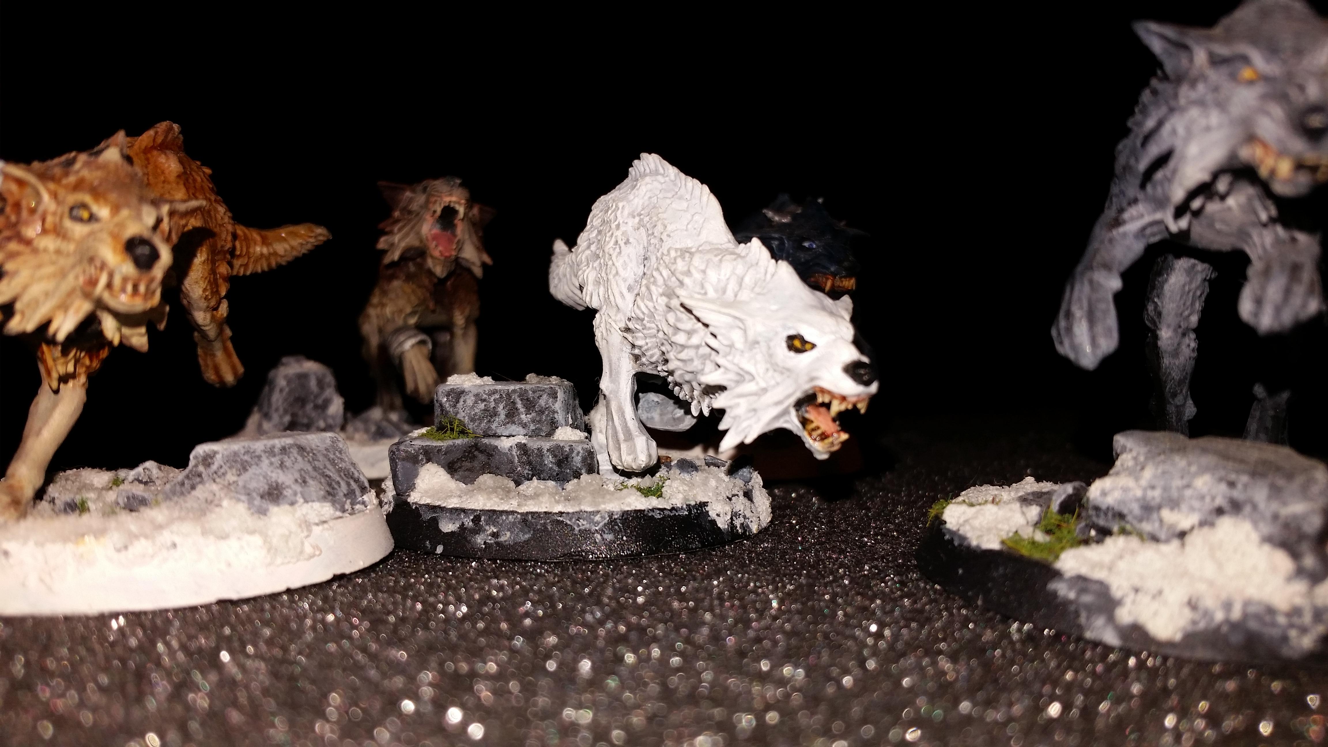 Anime, Fenrisian Wolves, Space Wolves, Wolf's Rain