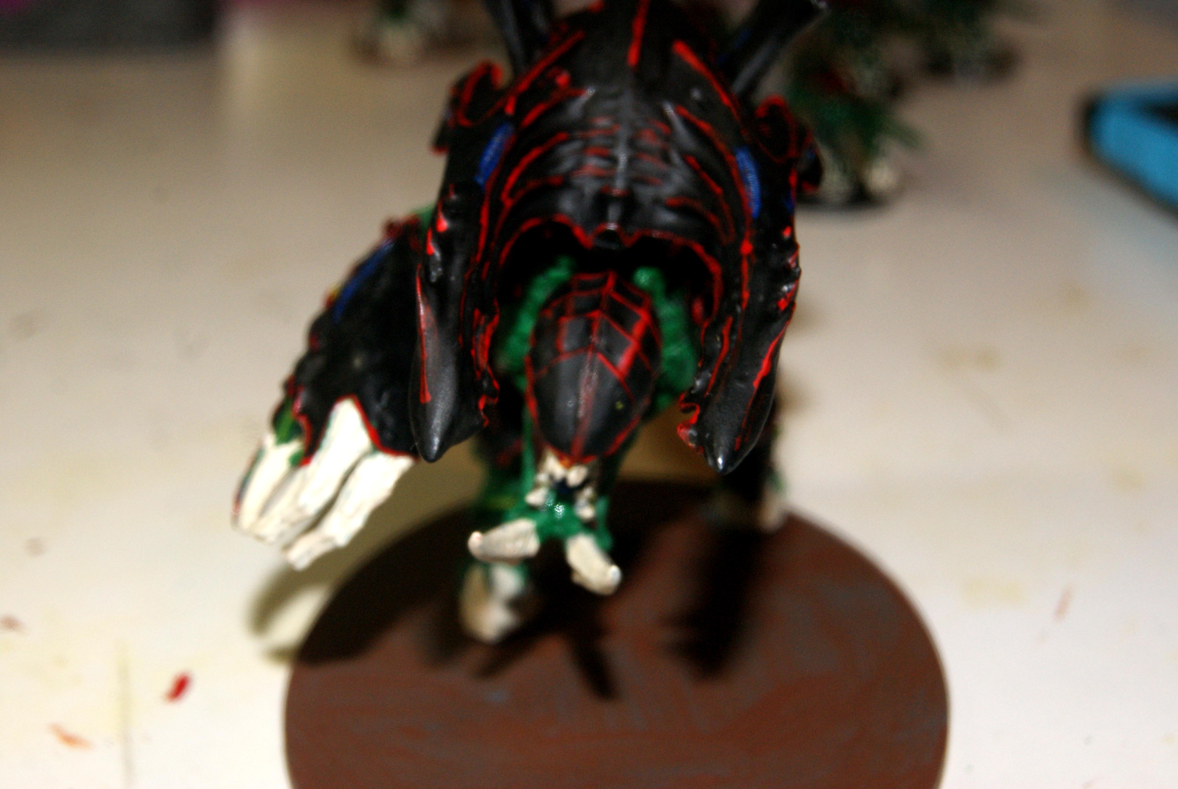 Front of the fex
