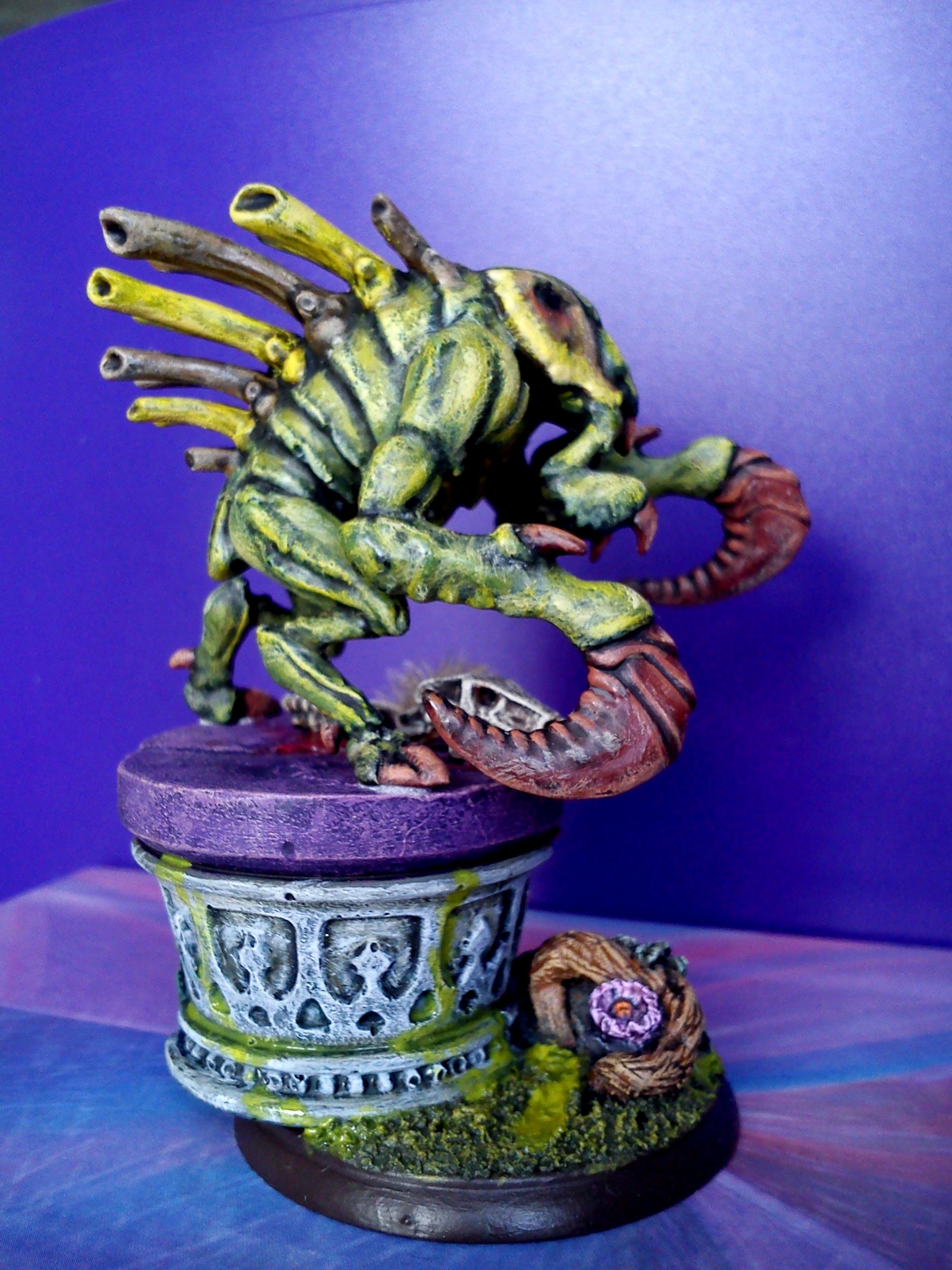 Shadows Of Brimstone