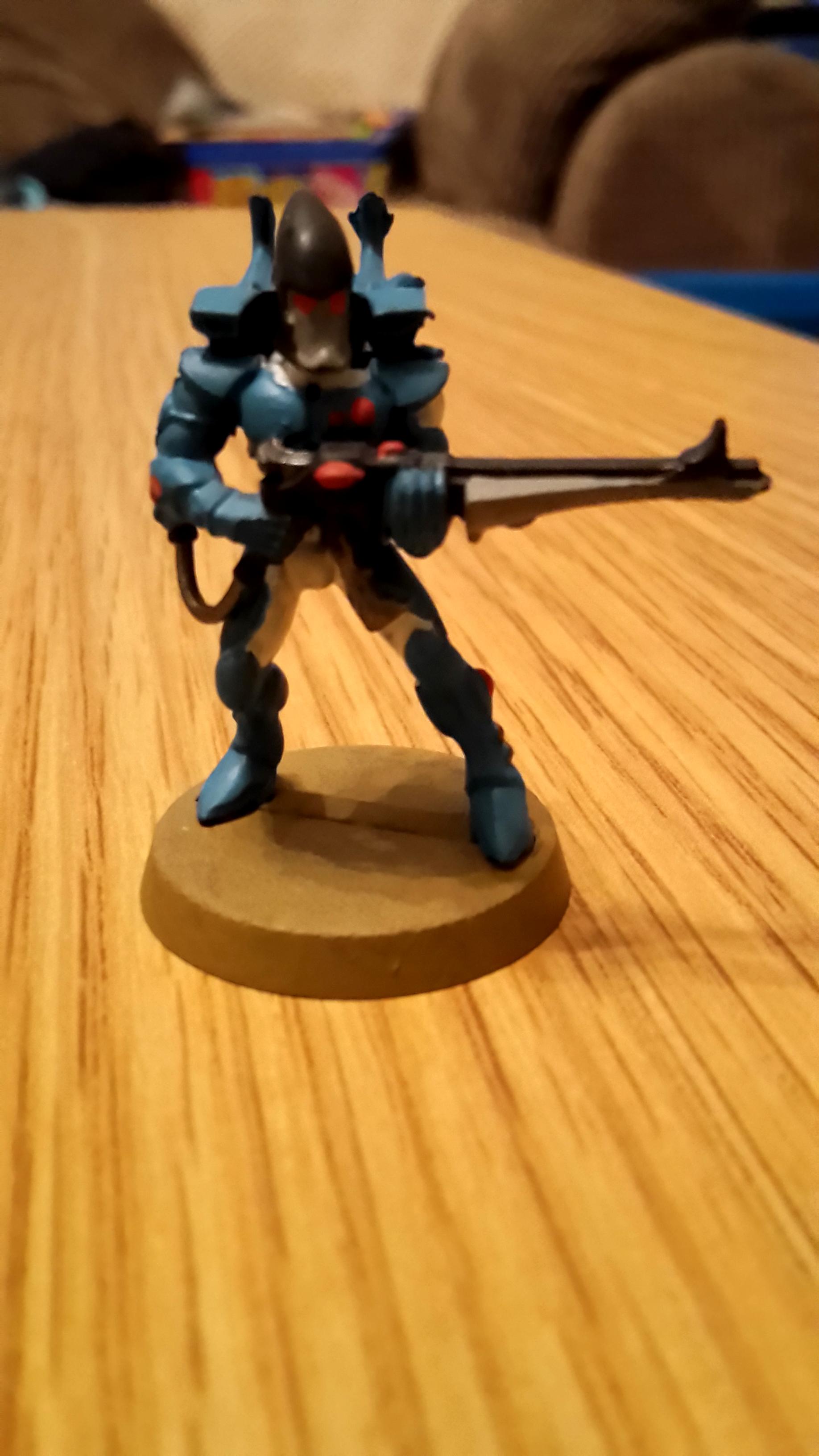 Eldar Rogue Trader