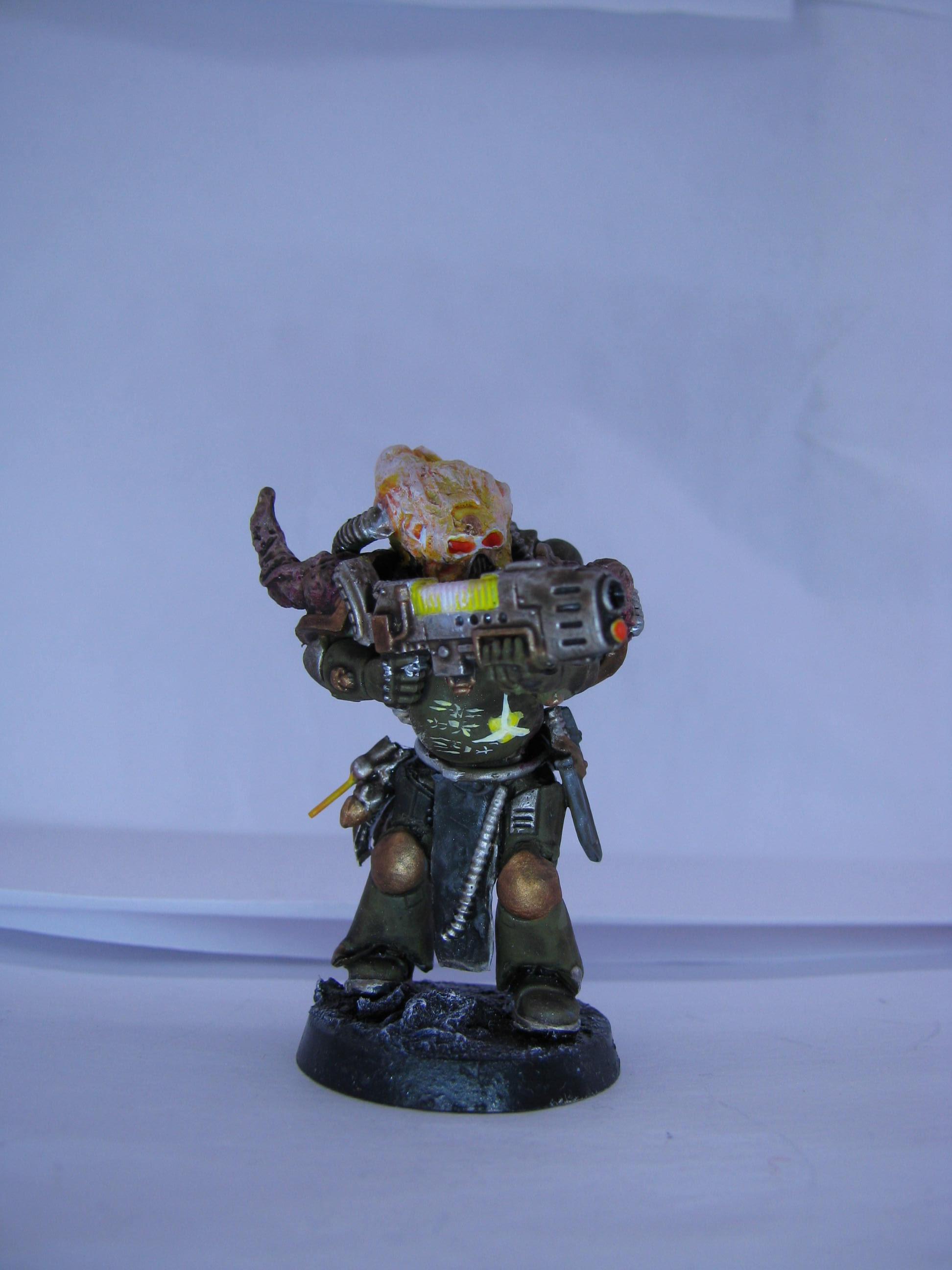 Chaos, Chaos Space Marines, Conversion, Nurgle, True Scale