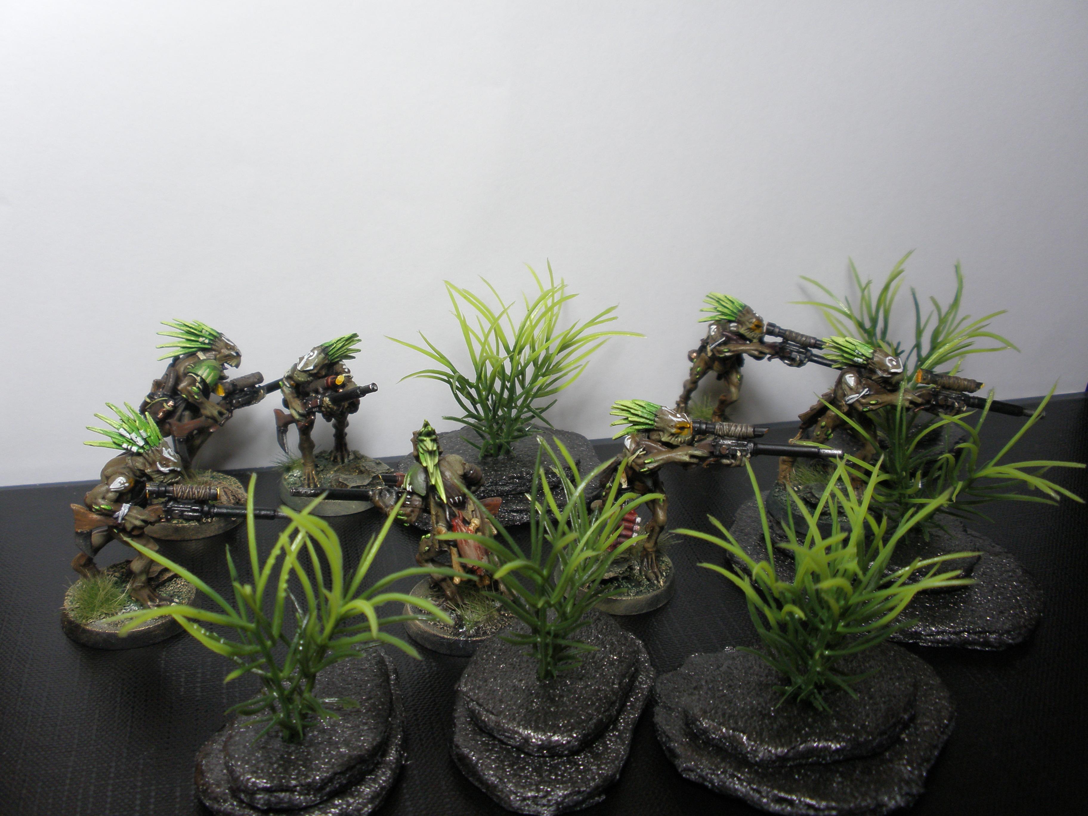 Hunters, Kroot, Snipers