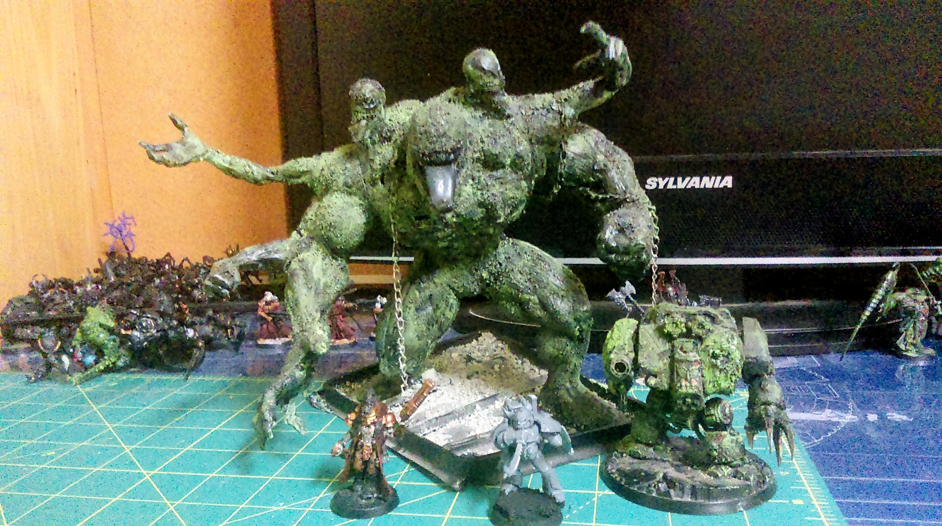 Front Shot Scabeiathrax