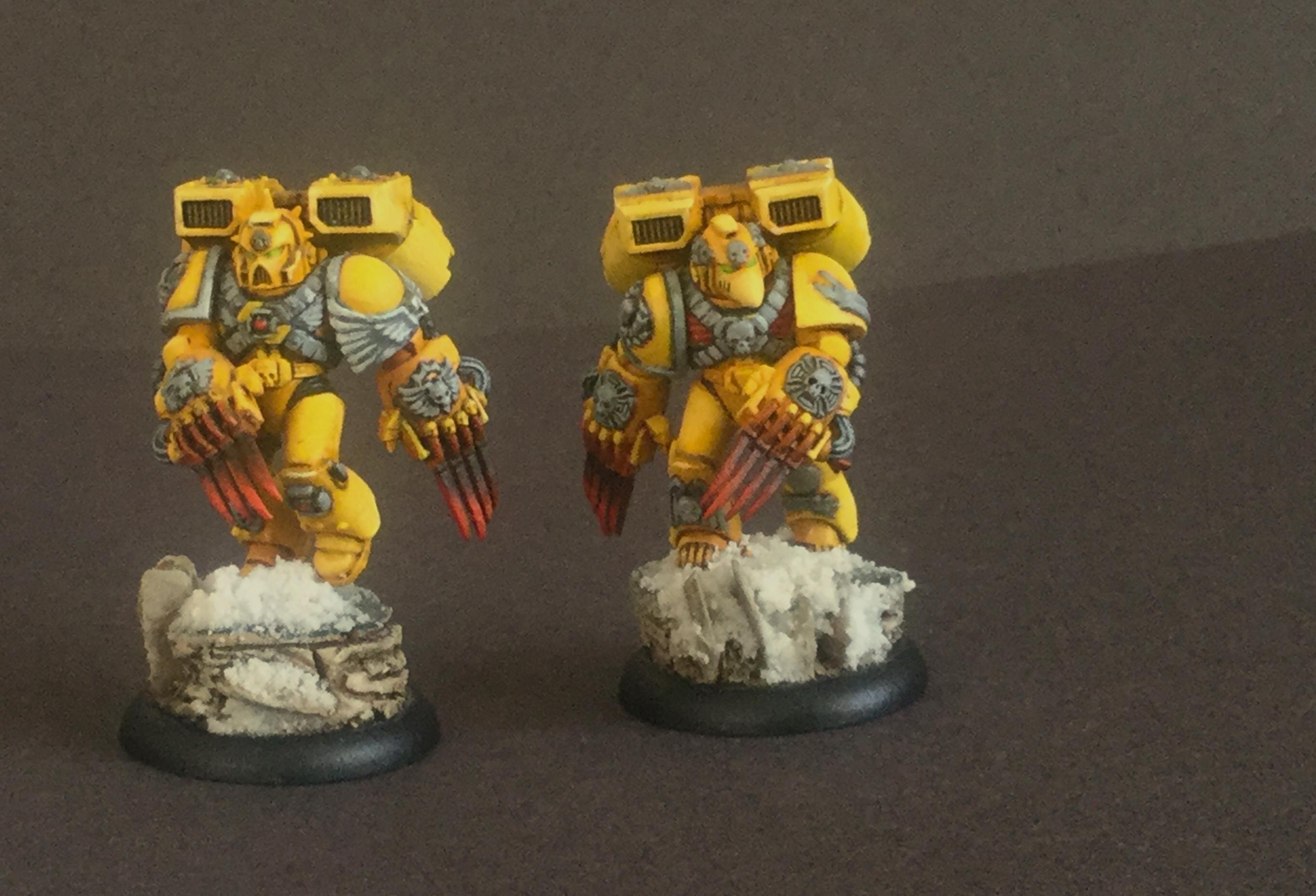 Imperial Fists 