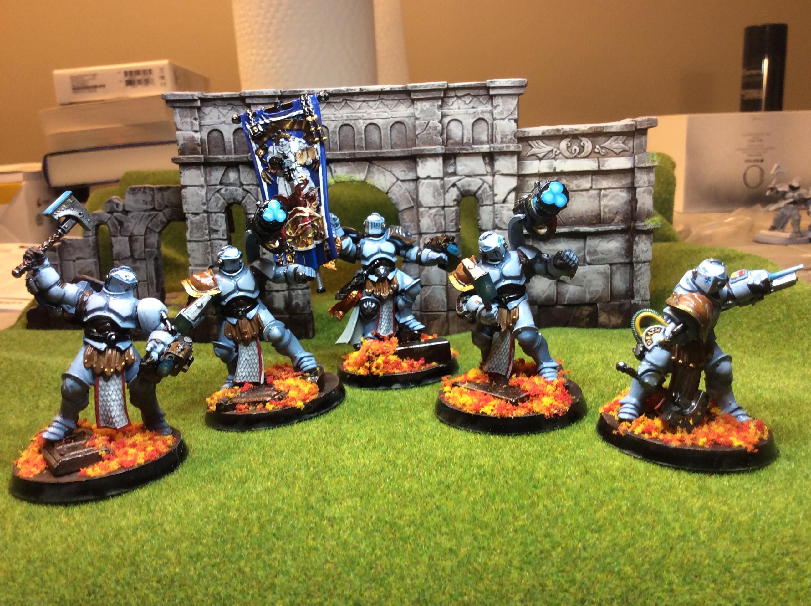 Grey Knights, Paladins