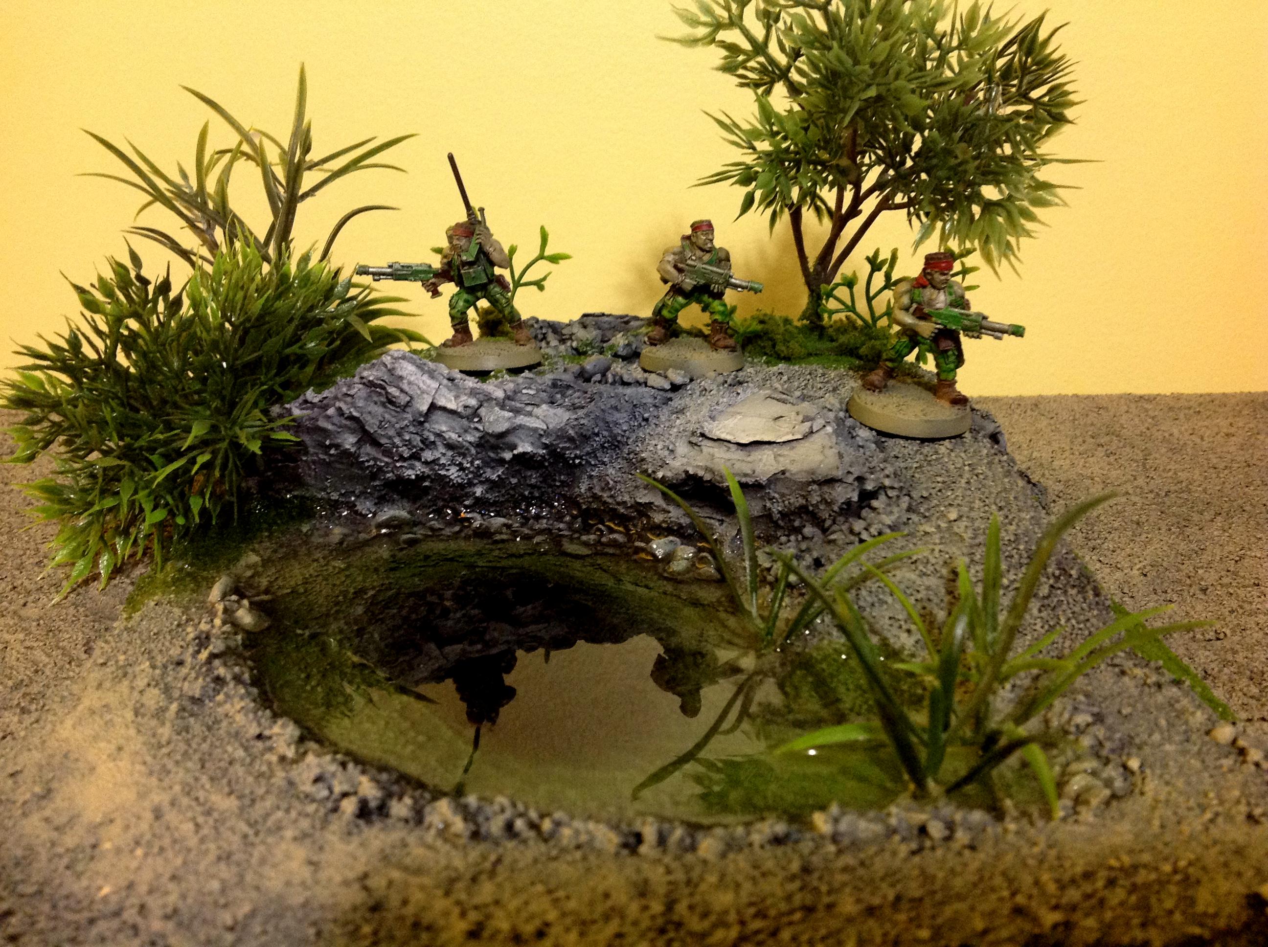 Jungle, Terrain, Jungle terrain