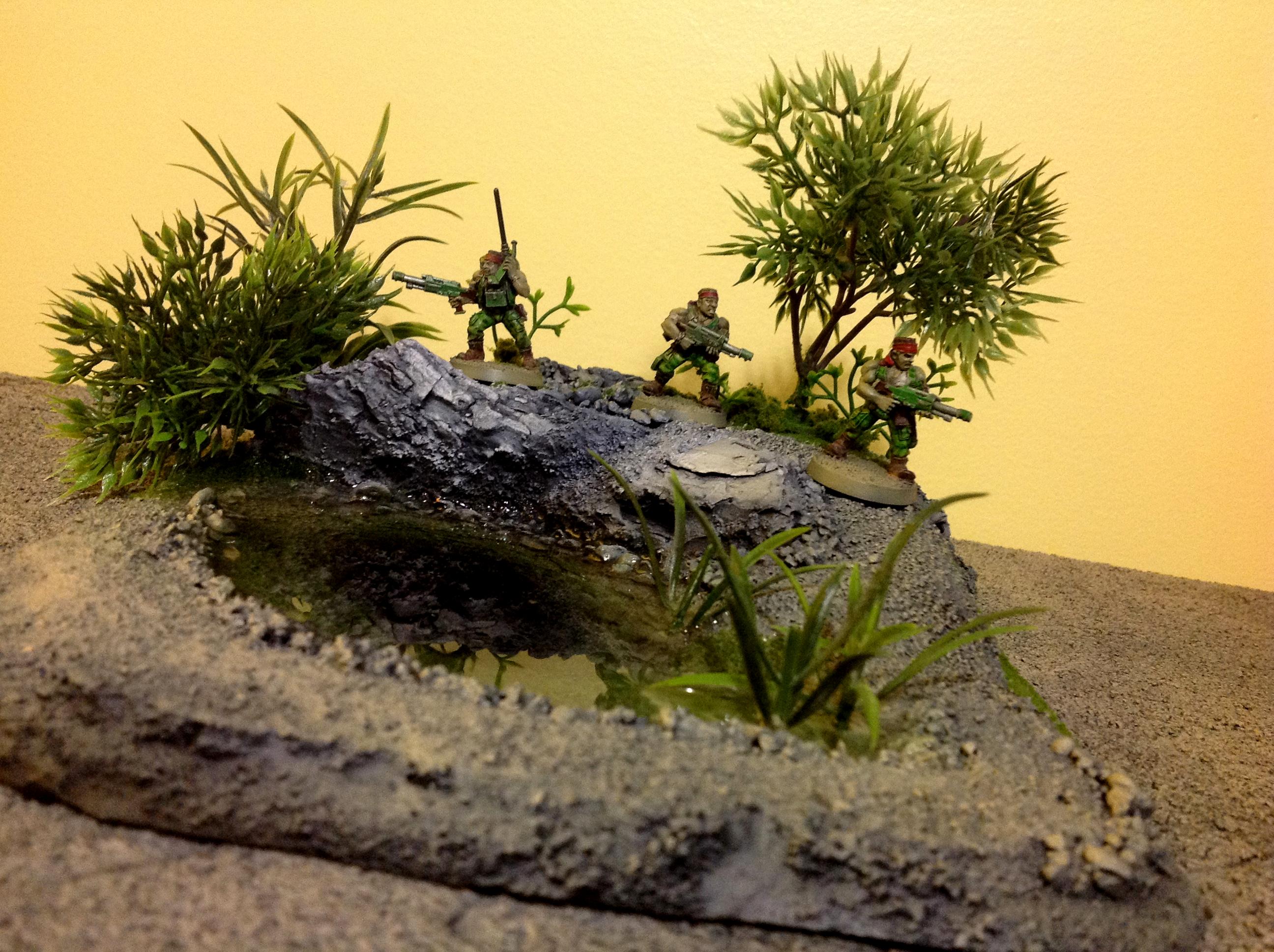 Jungle Terrain, Jungle terrain