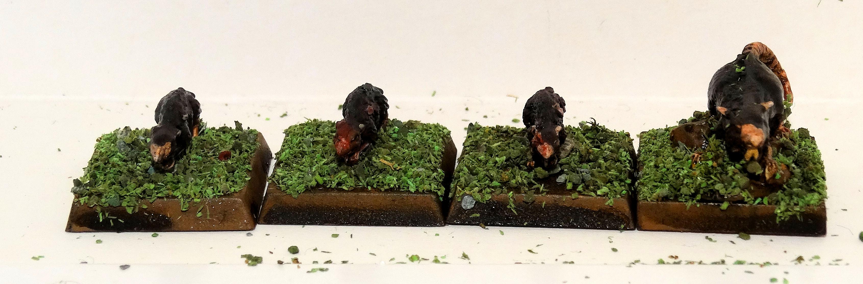 Giant Rats