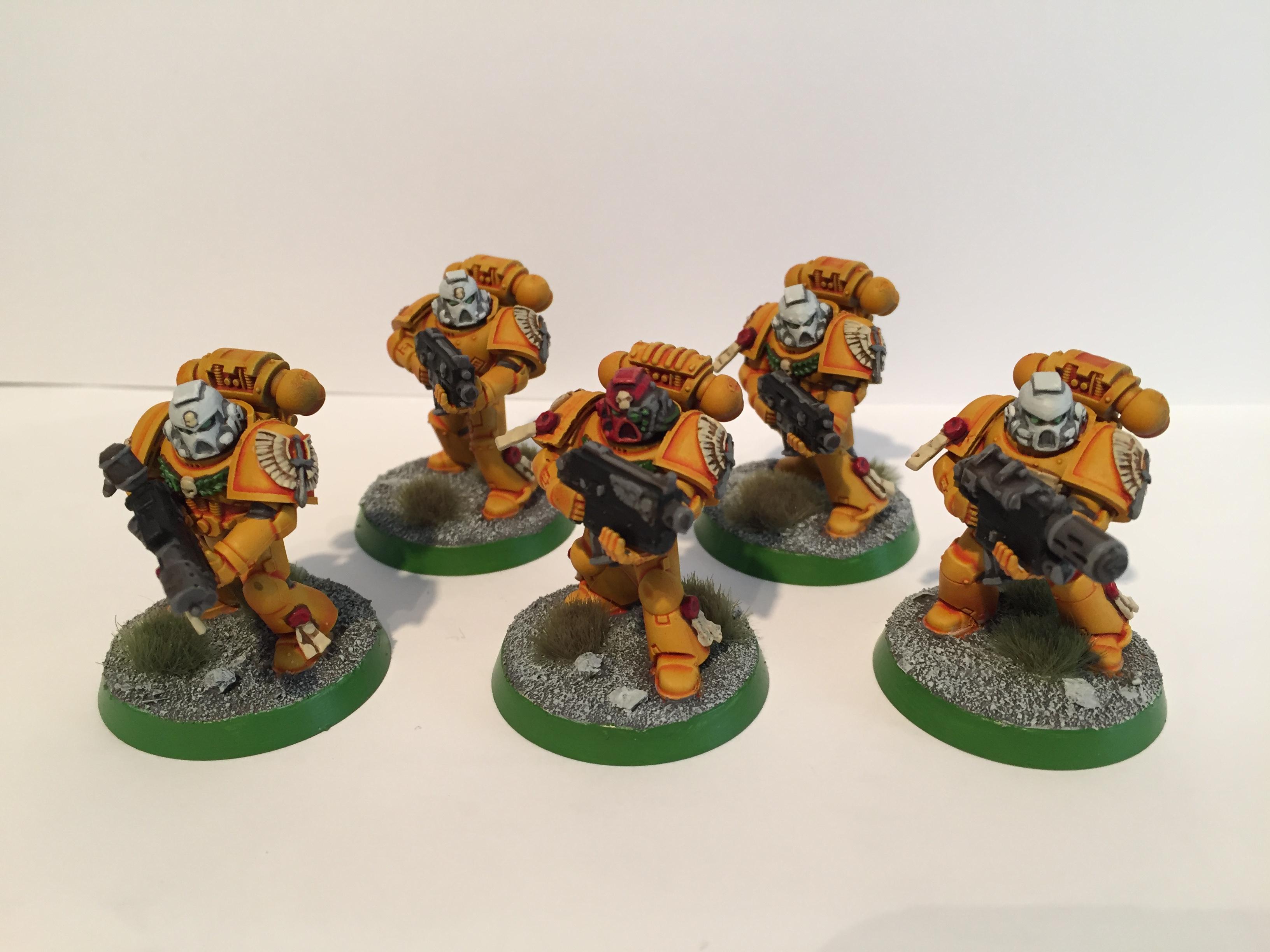 Sternguard Veterans
