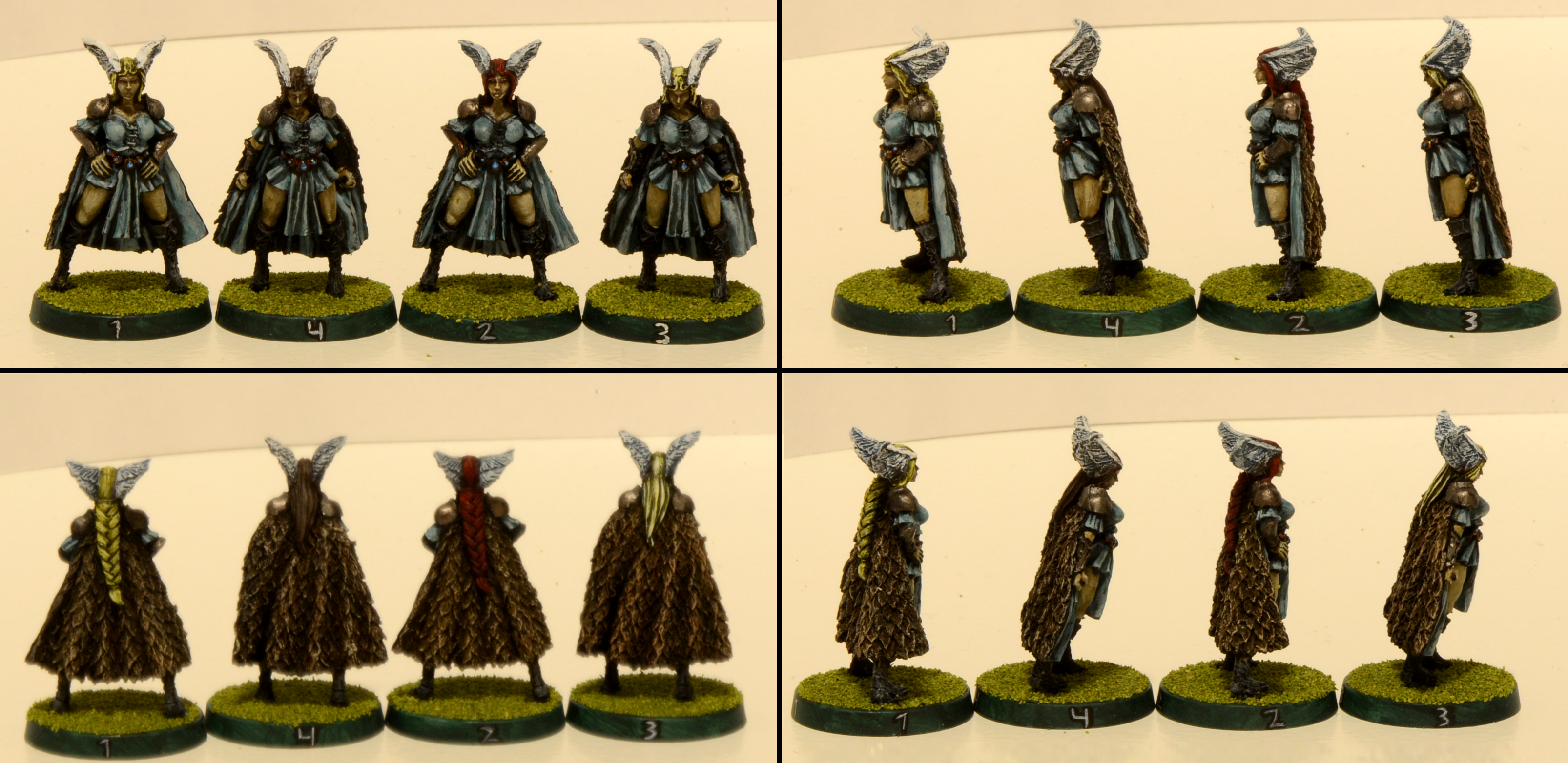 Amazon, Amazons, Black, Black Scorpion, Blitzer, Blitzers, Blood, Blood Bowl, Bowl, Scorpion, Team