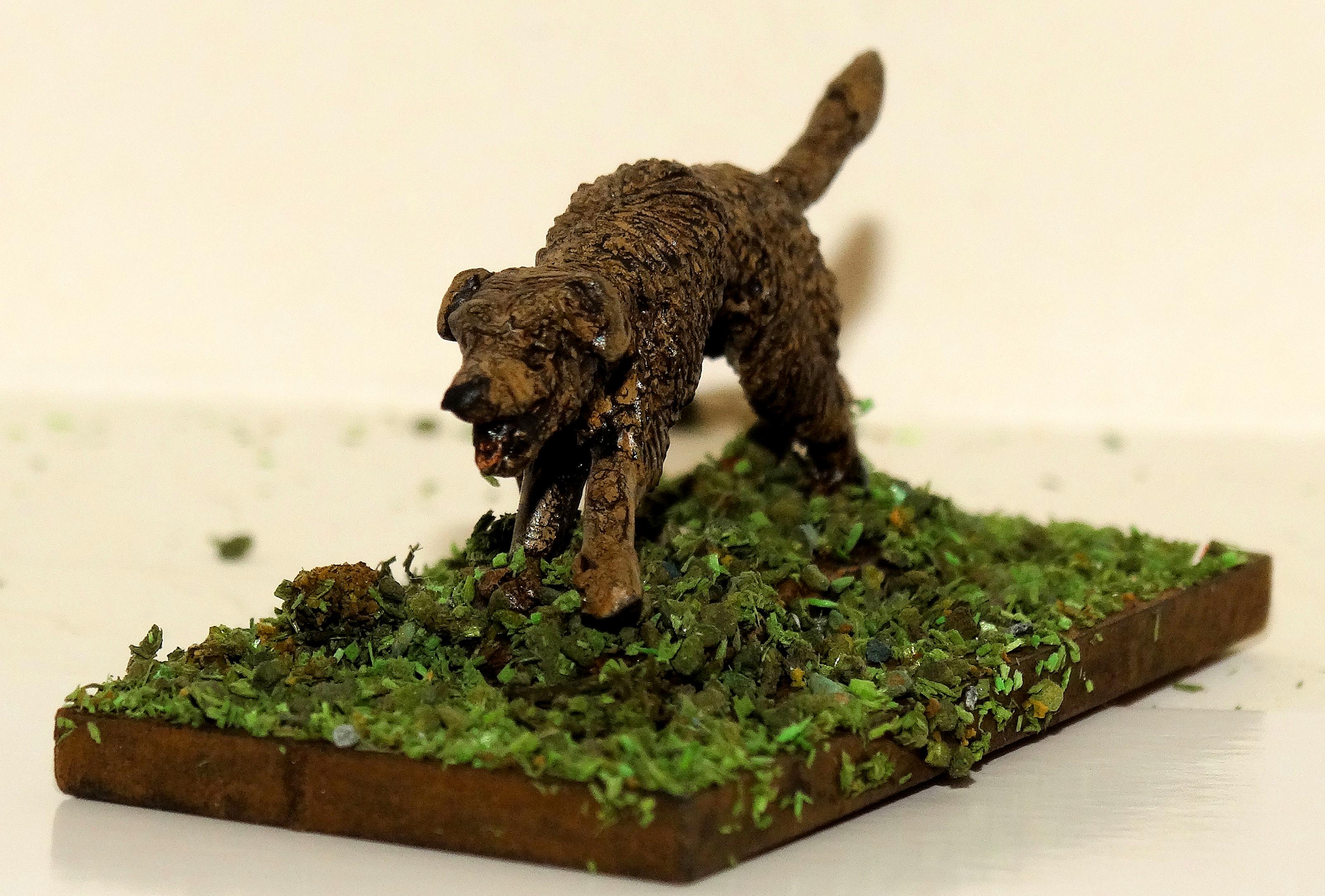 Irish Wolfhound