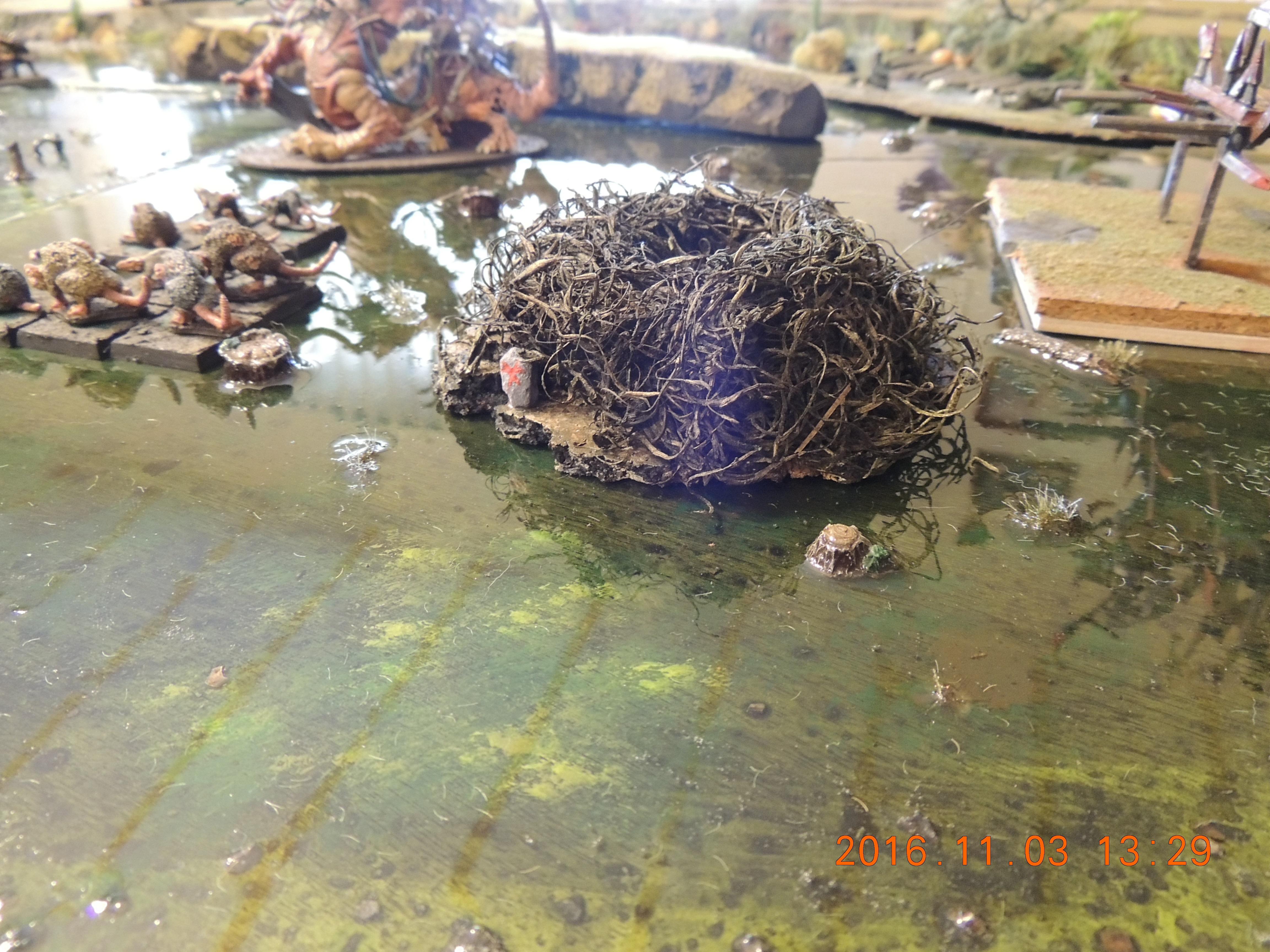 Board, Swamp, Terrain