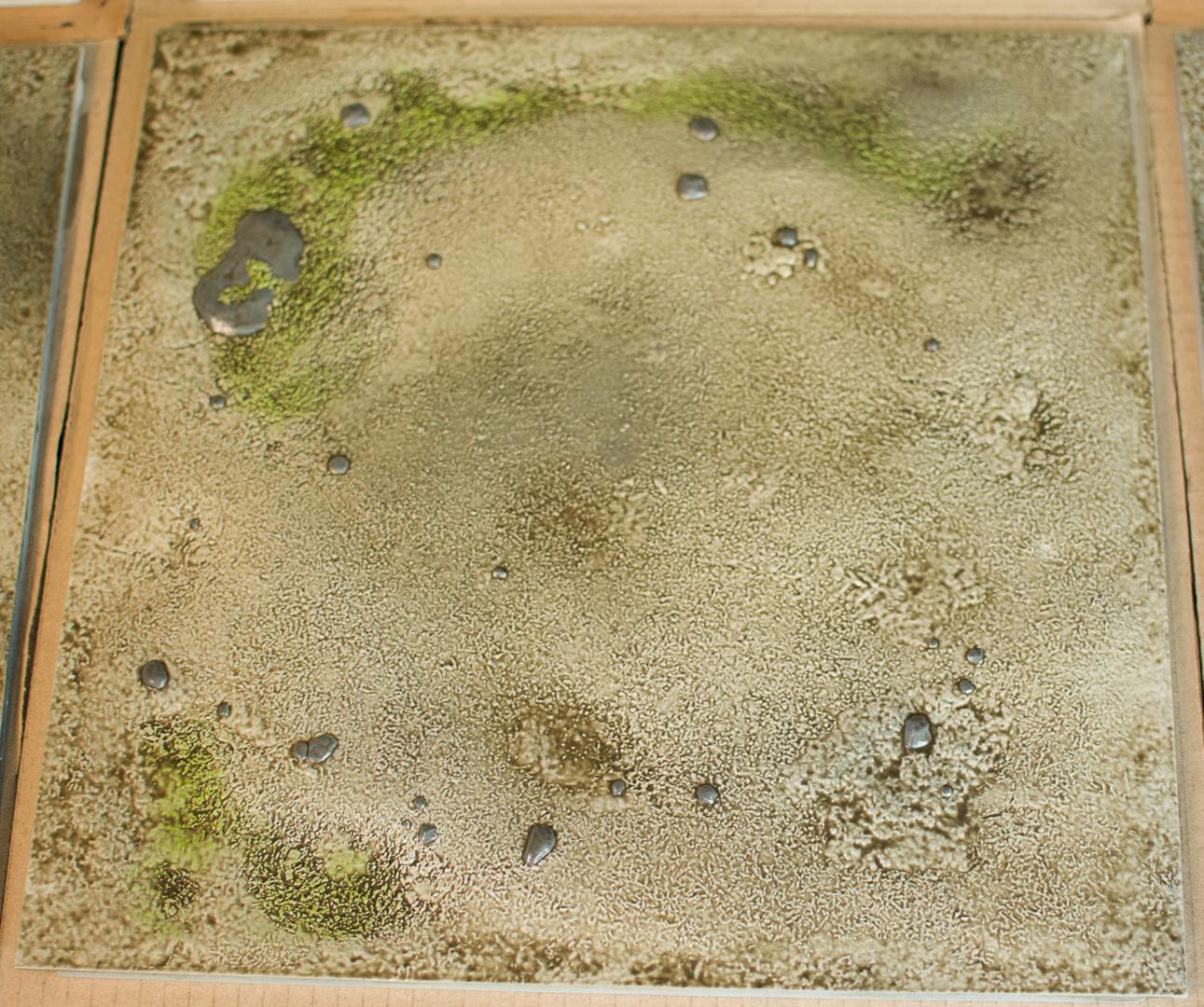 TableScape Rolling Fields