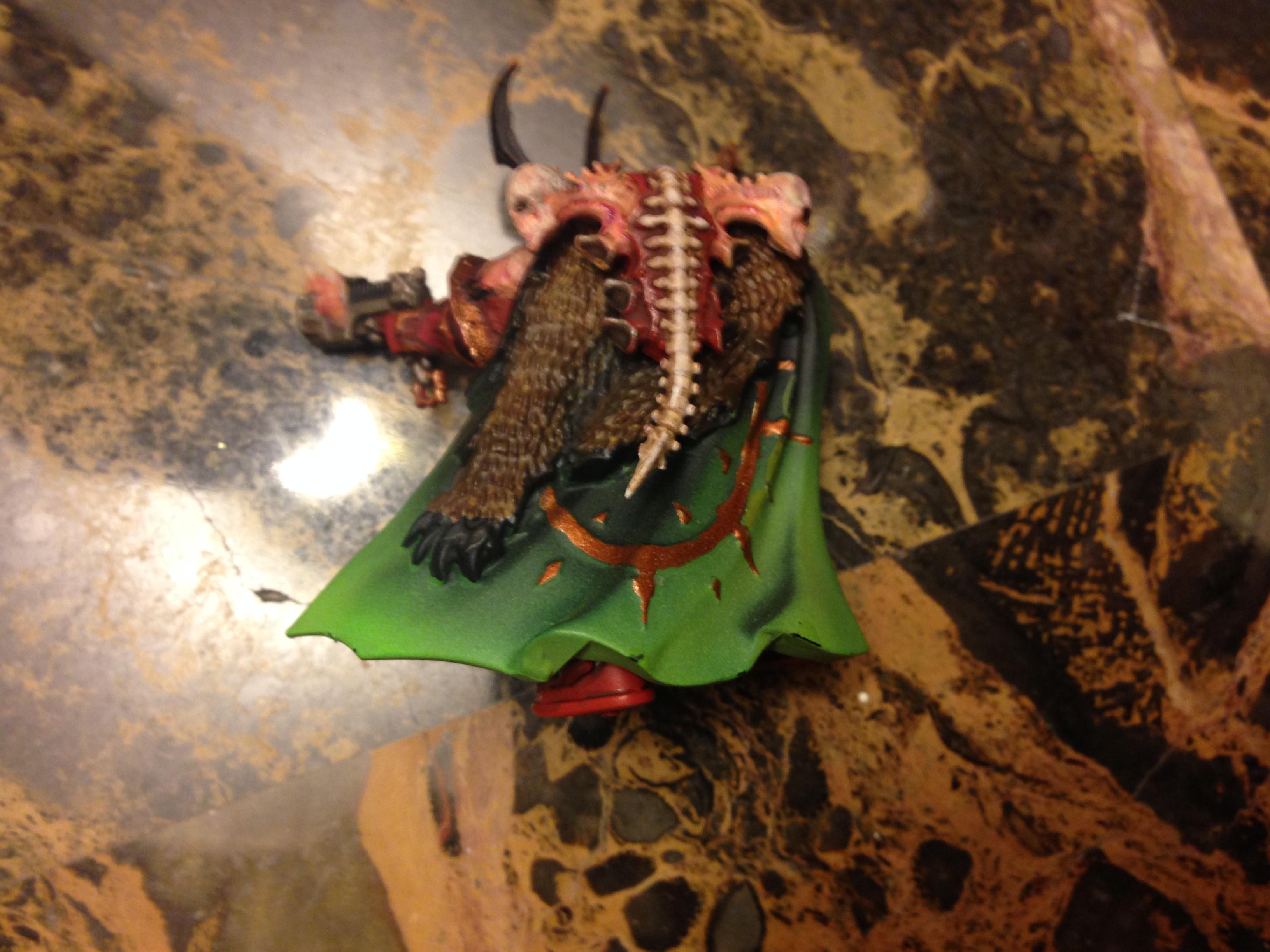 Csm lord back