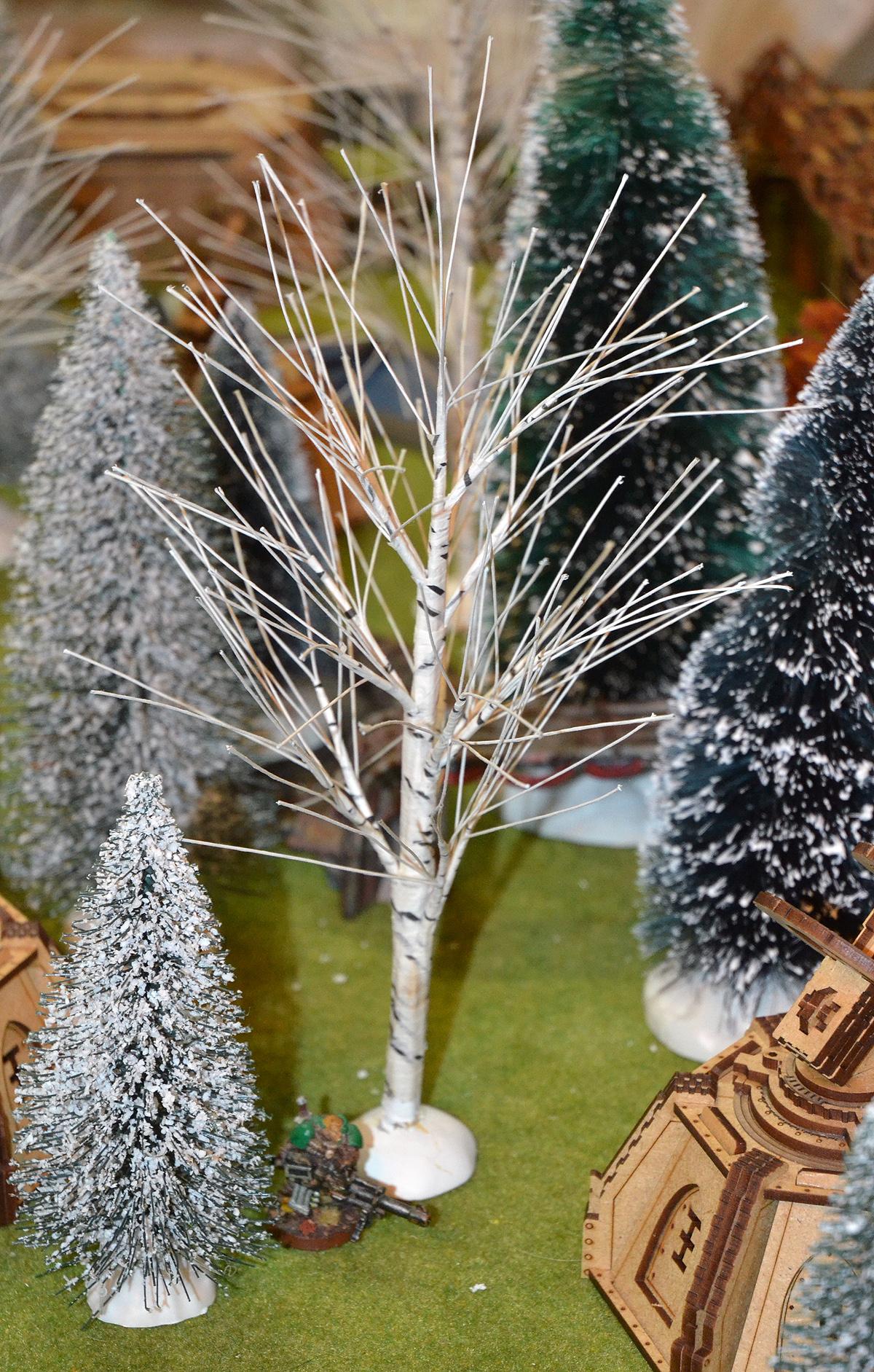 large winter birch