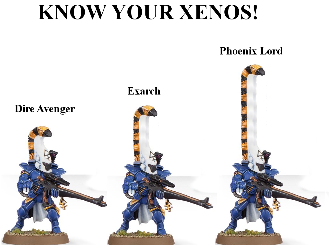 Dire Avengers, Eldar, Hats, Humor, Inquisition