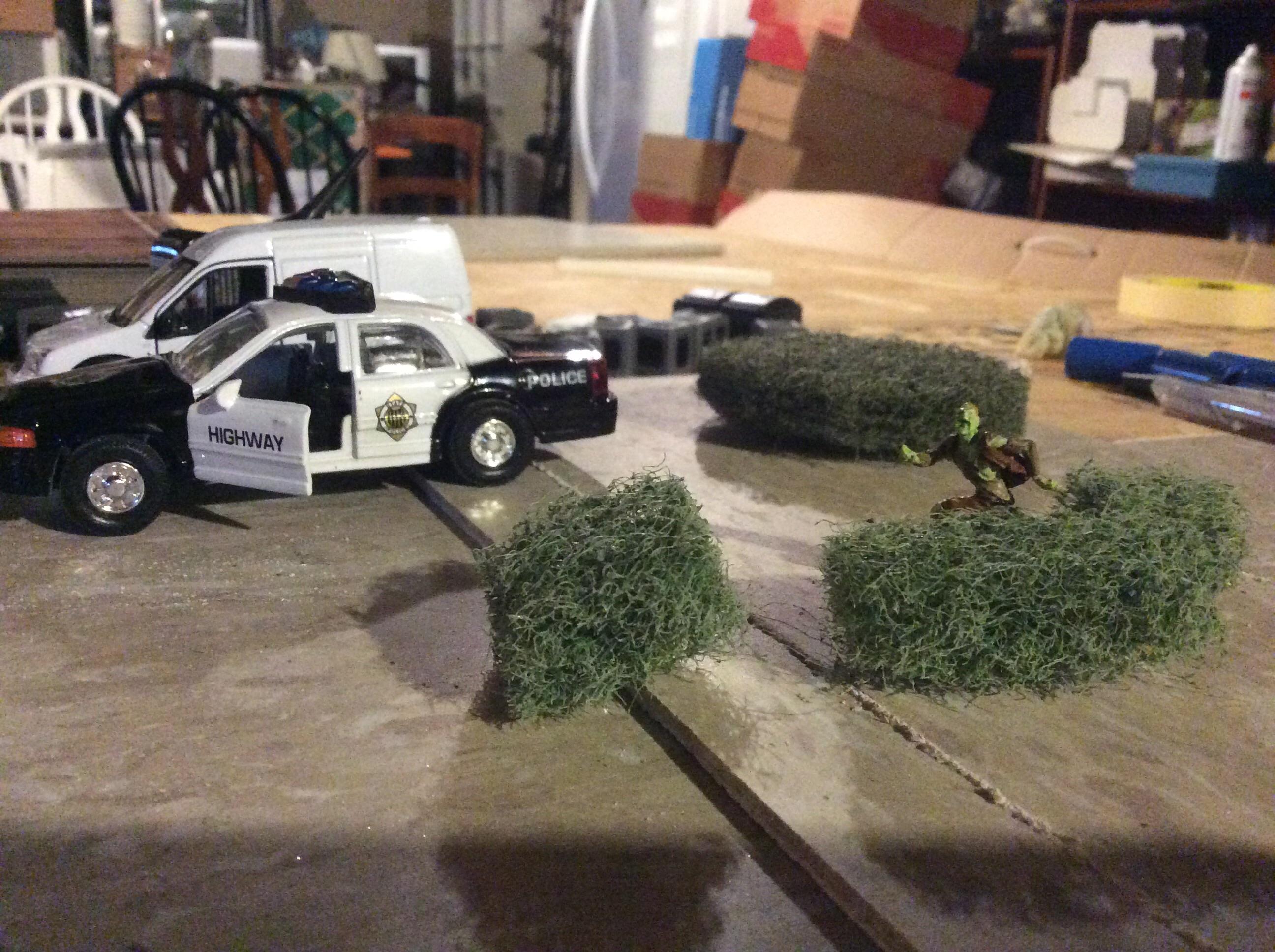 Shrubs