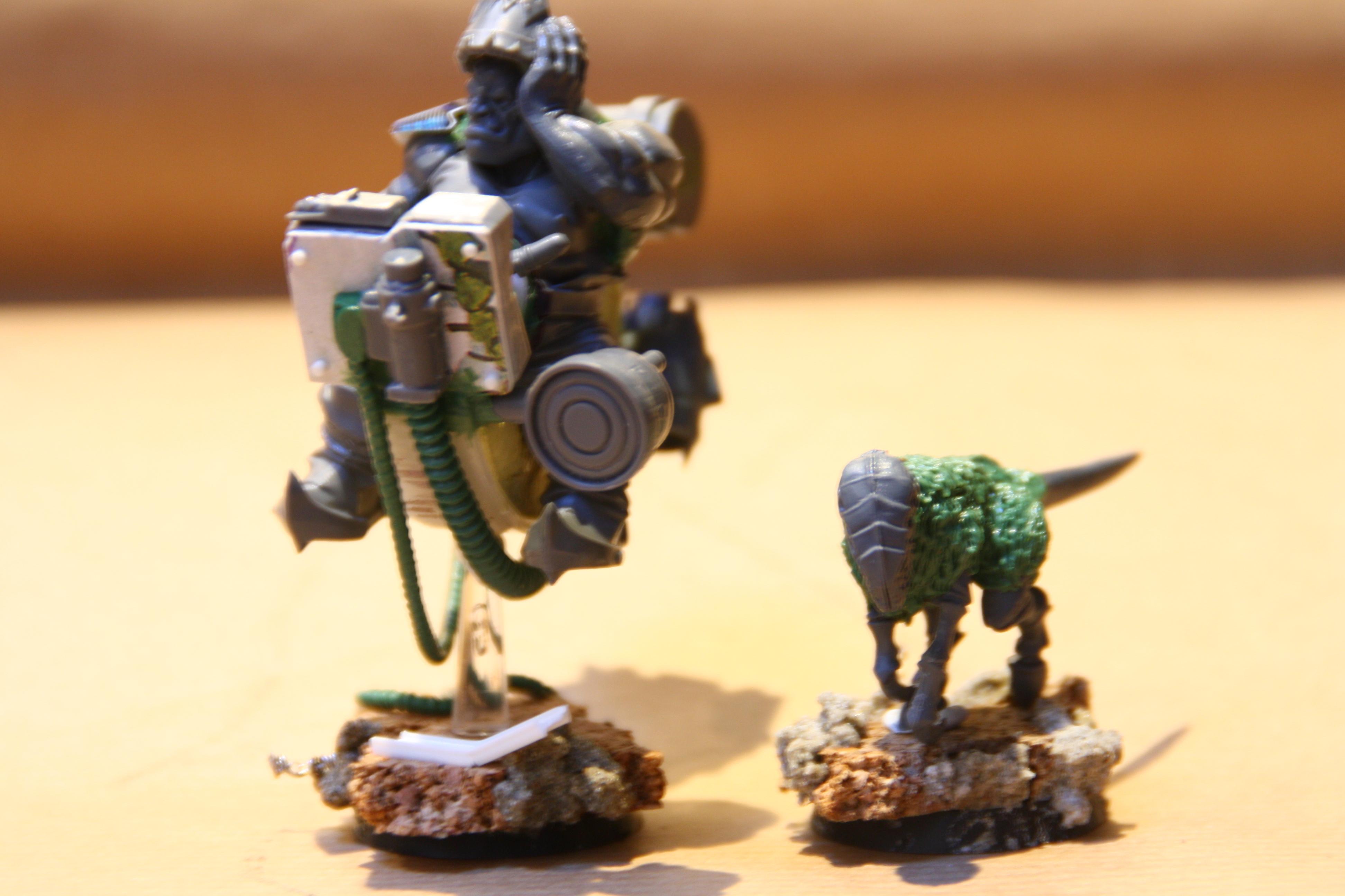 to be part of the king's retinue