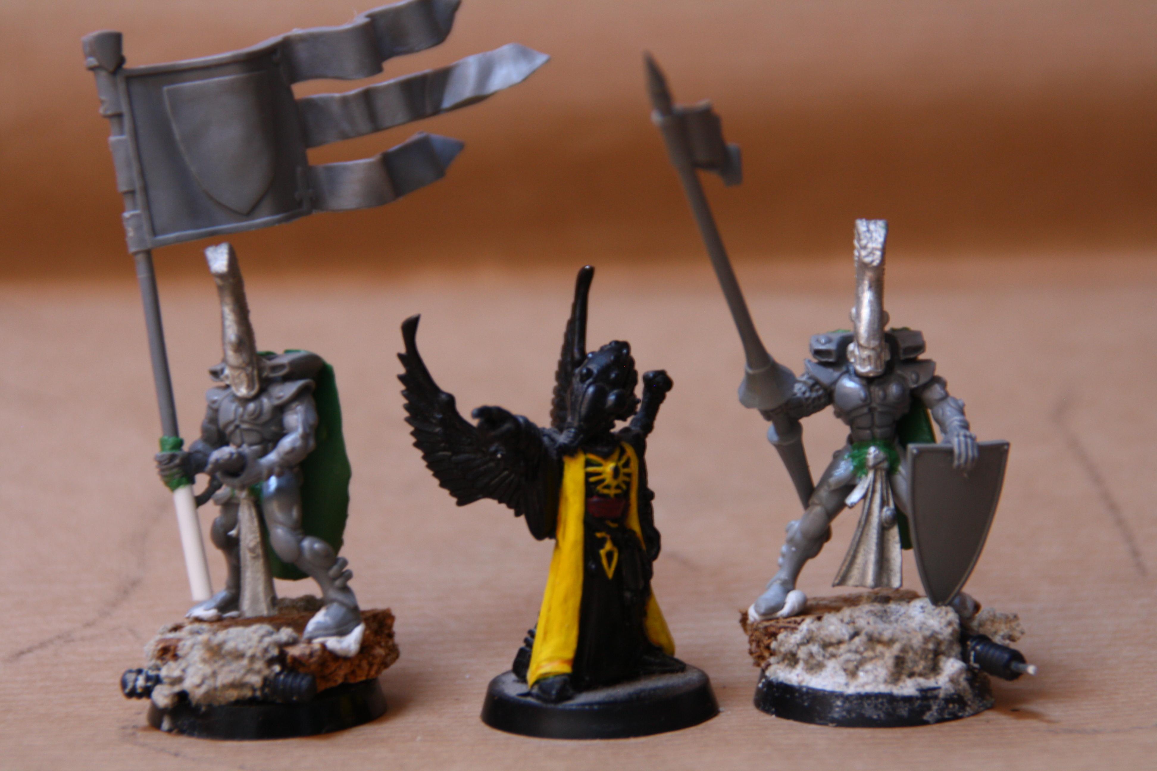 an eldar detachment